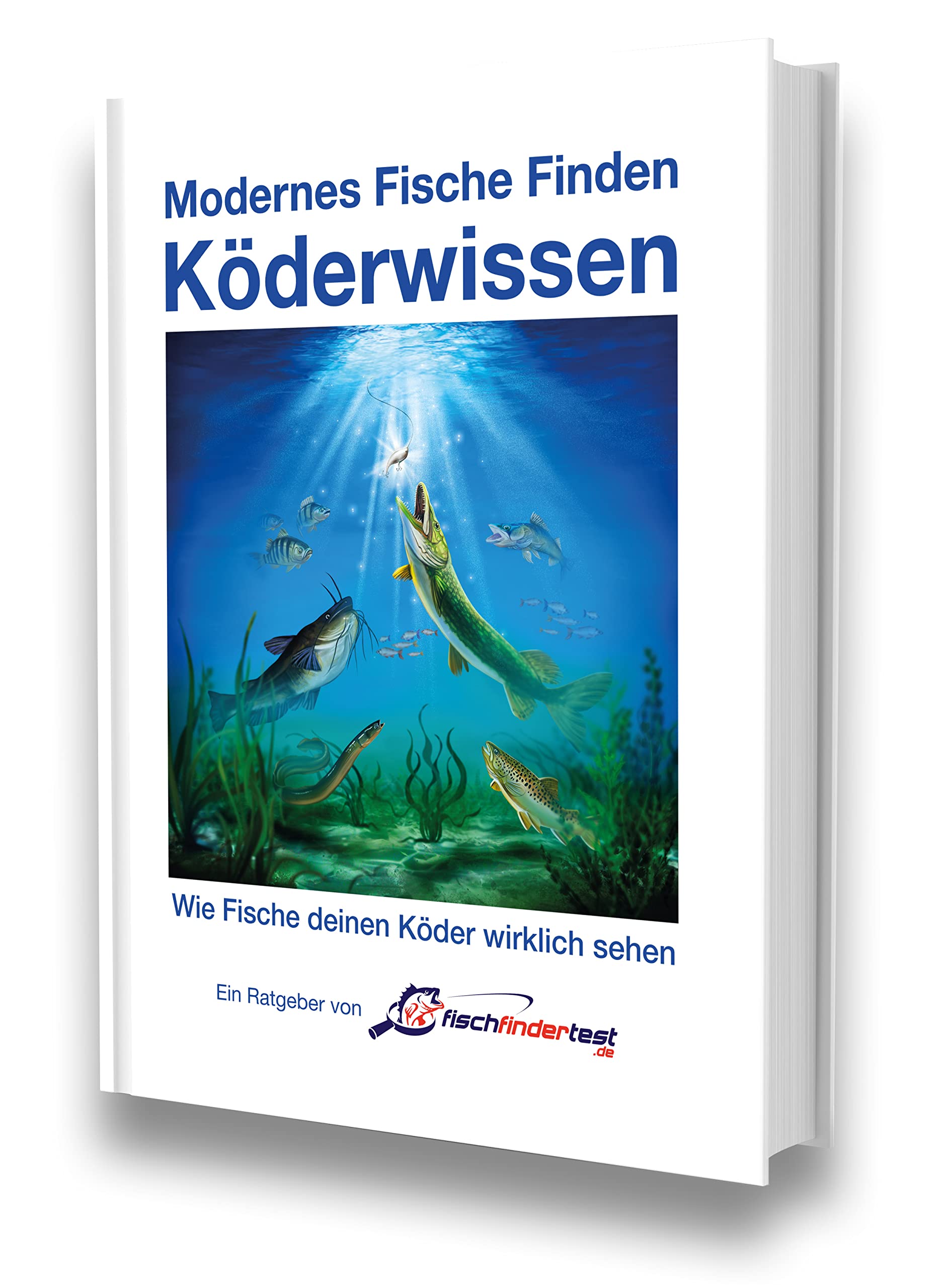 Modernes Fische Finden - Köderwissen book