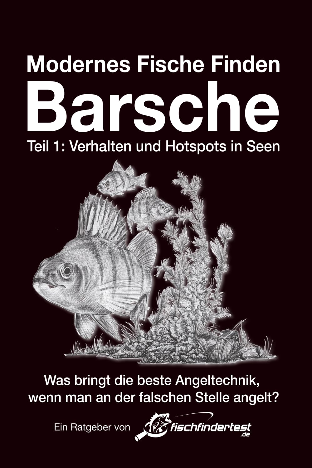 Modernes Fische Finden - Barsche: ► Hotspots und Strategien in Seen Leisure & Fun