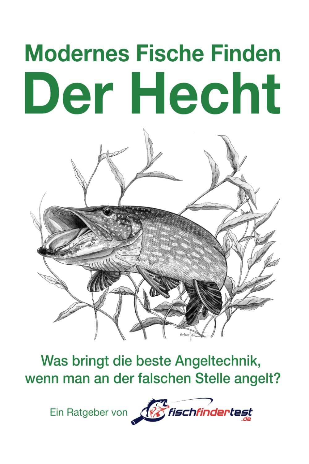 Modernes Fische Finden - Der Hecht: ► Hotspots & Strategien für Seen und Flüsse Leisure & Fun