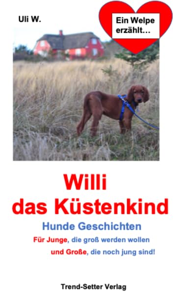 Willi das Küstenkind: Hunde Geschichten für Junge, die groß werden wollen und Große, die noch jung sind! Contemporary literature