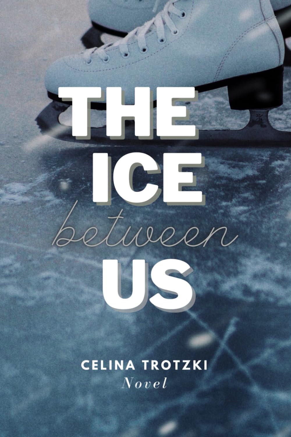 The Ice Between Us New Adult