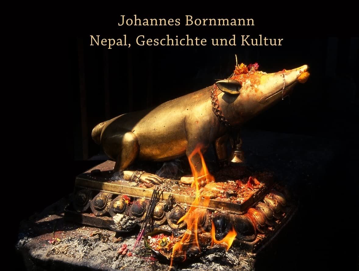 Nepal, Geschichte und Kultur Politics & History