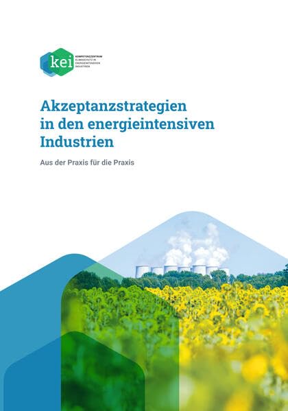 Akzeptanzstrategien in den energieintensiven Industrien: Aus der Praxis für die Praxis Law