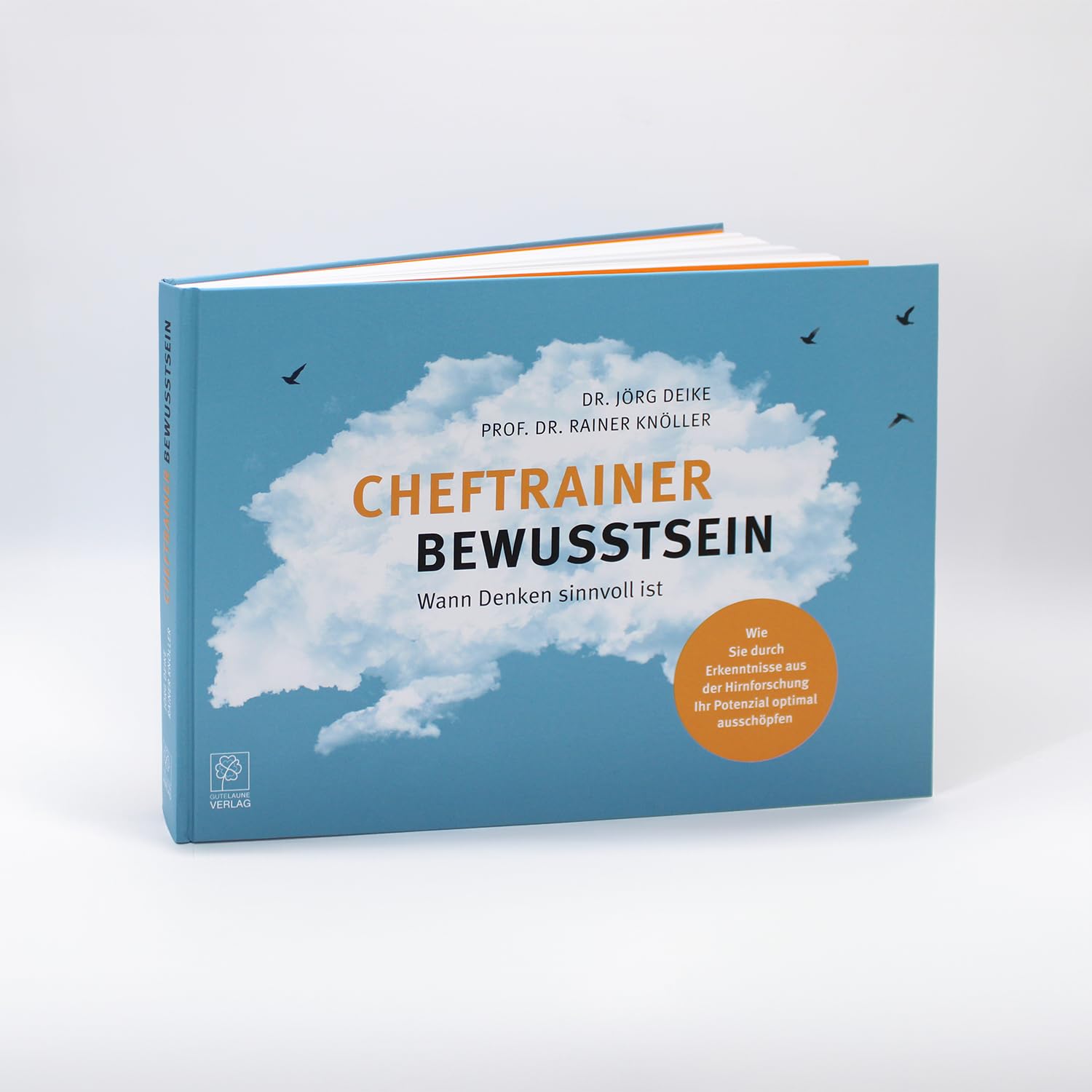 Cheftrainer Bewusstsein: Wann Denken sinnvoll ist Business, Finance & Career