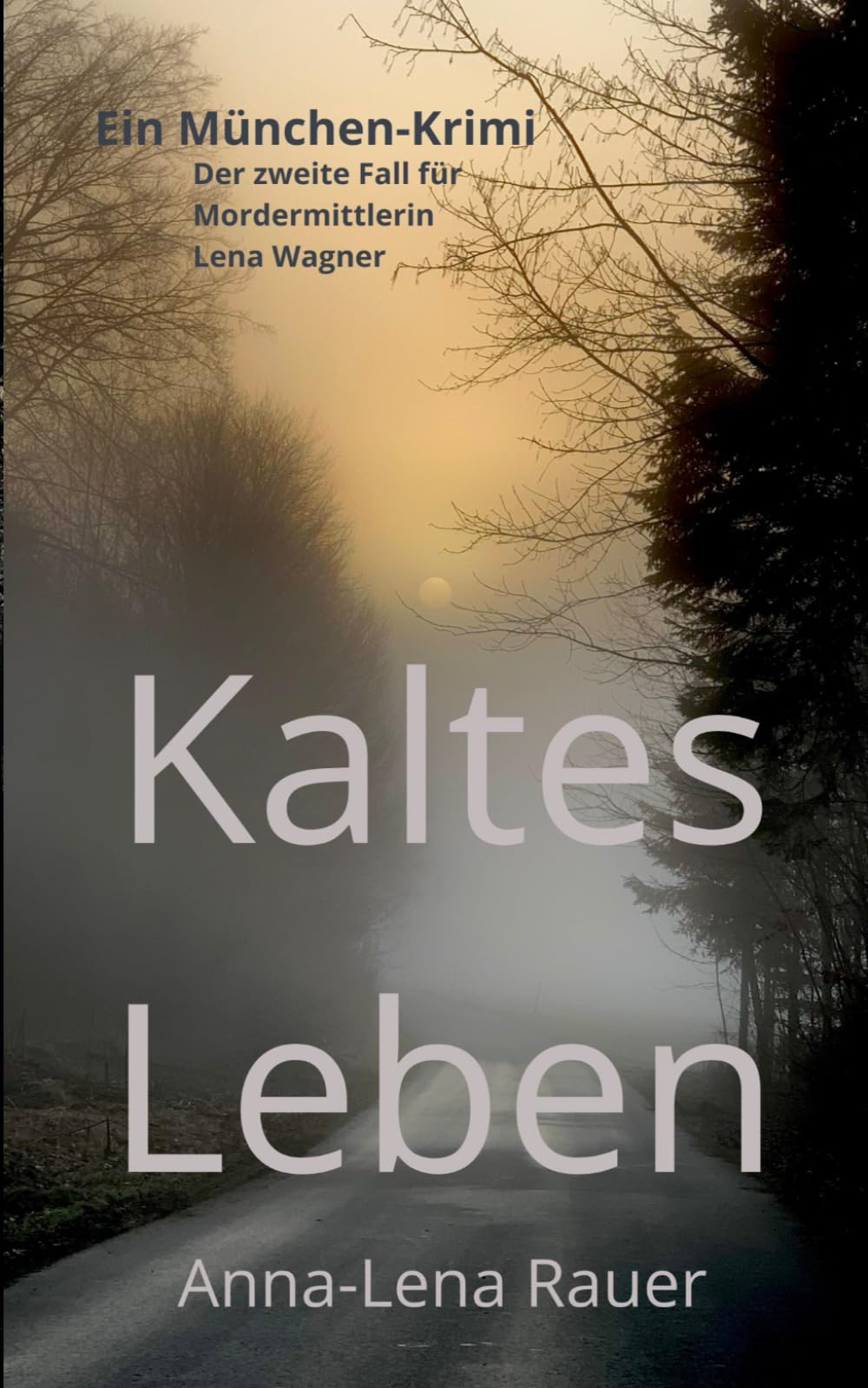 Kaltes Leben: Der zweite Fall für Mordermittlerin Lena Wagner: Ein München-Krimi: Der zweite Fall für Ermittlerin Lena Wagner Contemporary literature Books