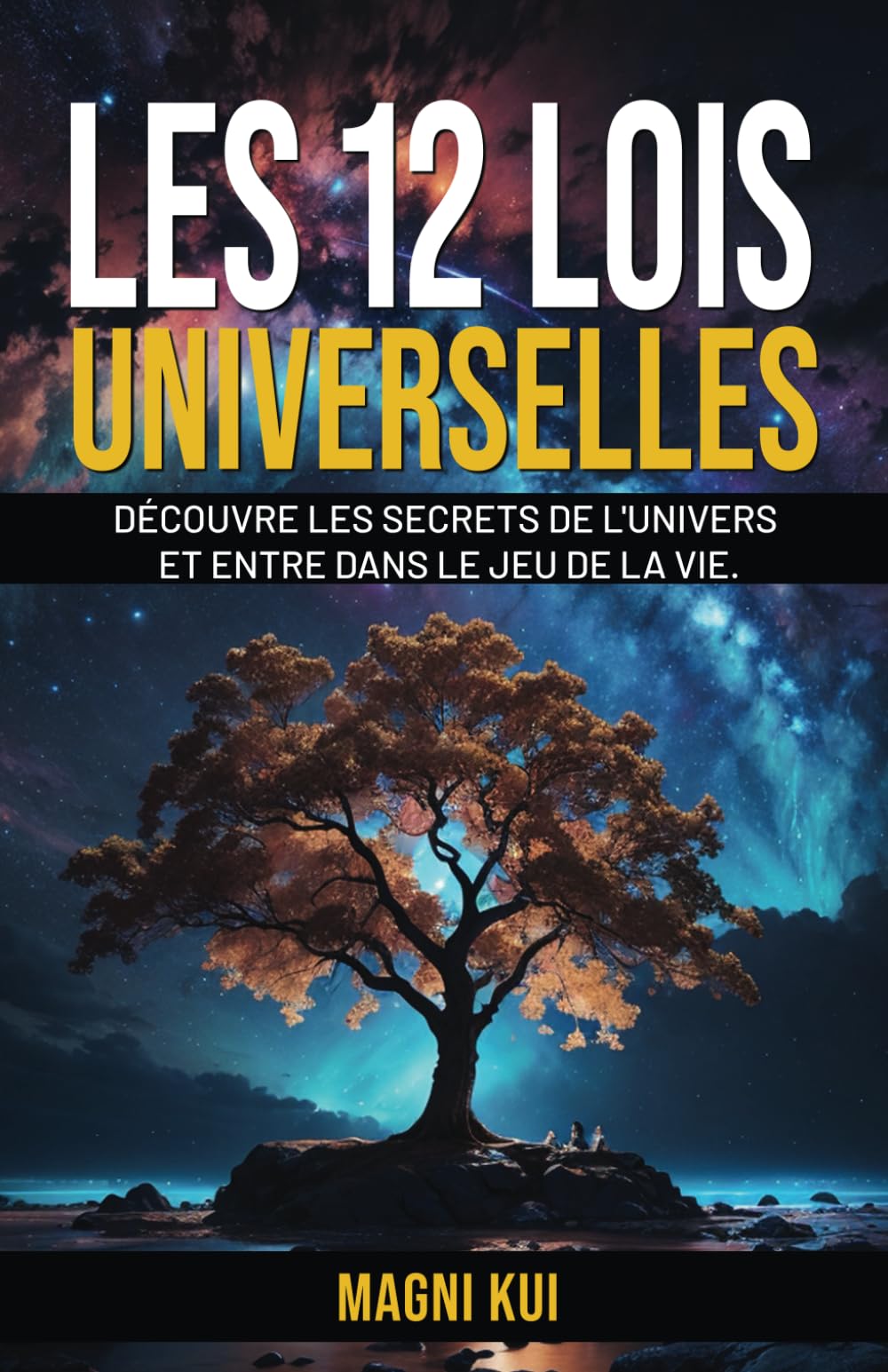 Les 12 lois universelles: Découvre les secrets de l'univers et entre dans le jeu de la vie. book