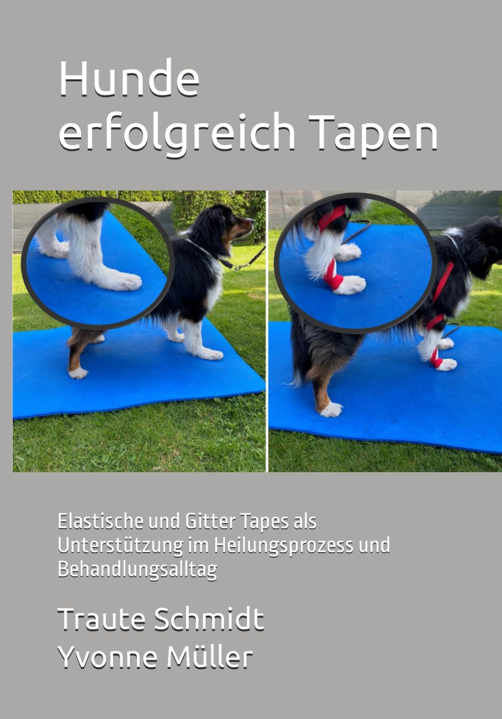 Hunde erfolgreich Tapen: Elastische und Gitter Tapes als Unterstützung im Heilungsprozess und Behandlungsalltag Medicine