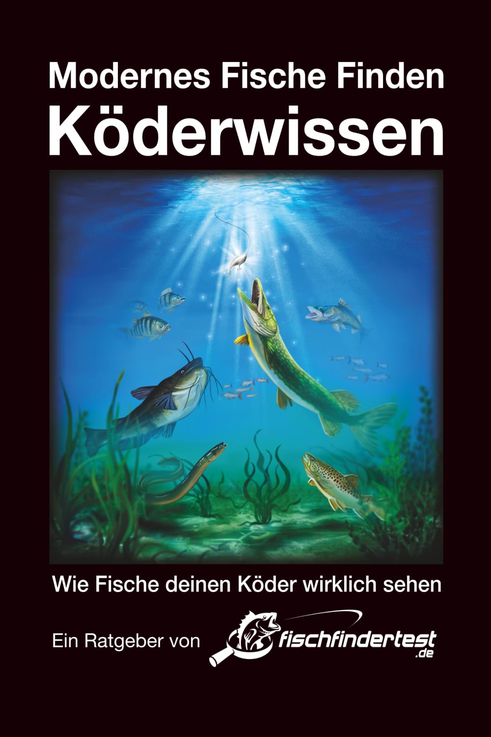 Modernes Fische Finden - Köderwissen: ► Wie Fische deinen Köder wirklich sehen? Leisure & Fun