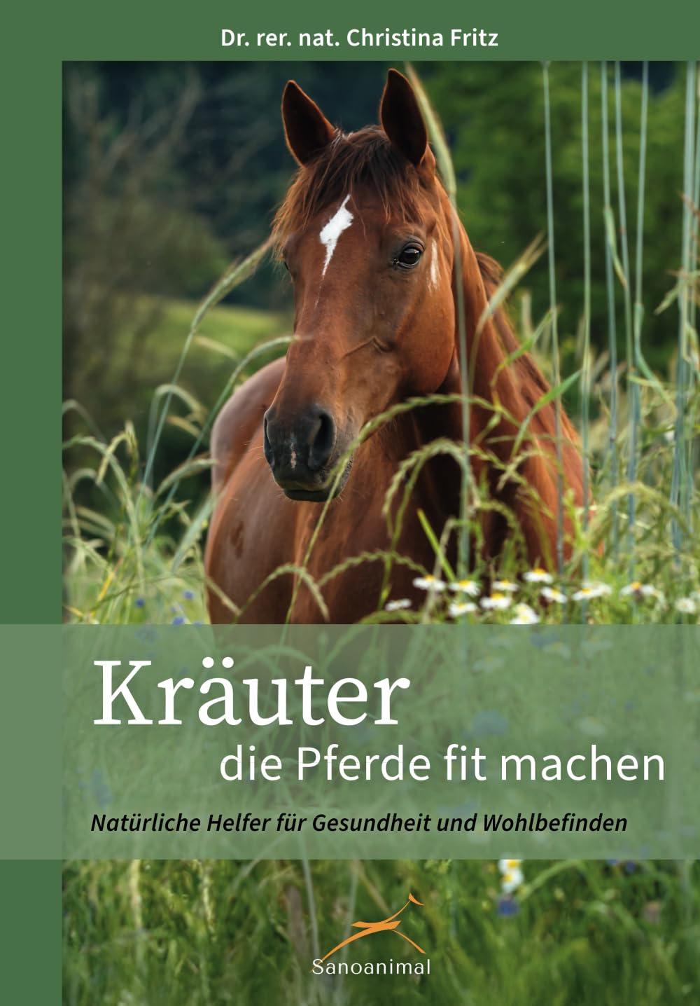Kräuter, die Pferde fit machen: Natürliche Helfer für Gesundheit und Wohlbefinden Pets