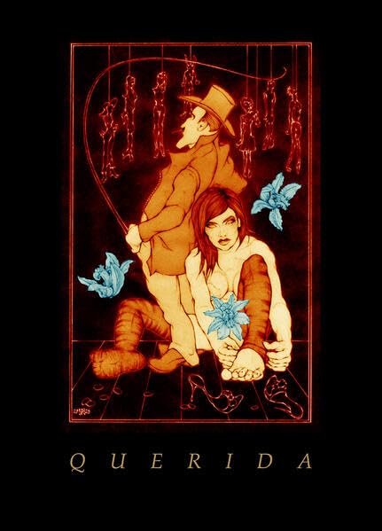Querida - Coffee Table Edition: Vom Leid und der Selbstermächtigung einer Puppe Contemporary literature