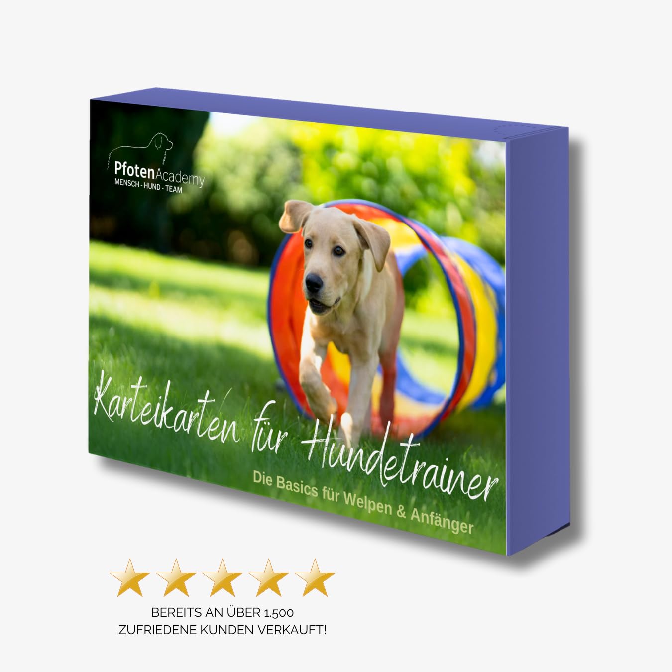 Welpen & Anfänger Übungskarten für Hundetrainer | Unterrichtskonzept | Karteikartenset für die Gestaltung von Hundeschulen Gruppenstunden & Kurse Pets