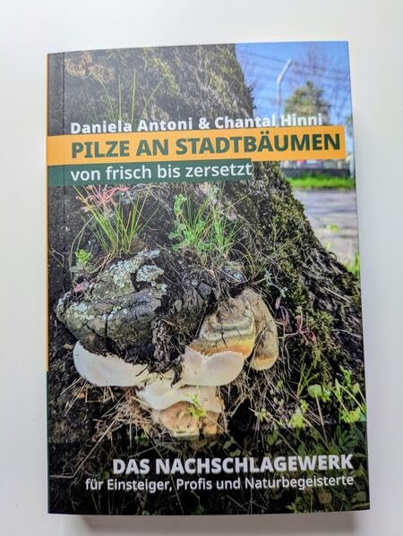 Pilze an Stadtbälumen: Von frisch bis zersetzt Business & Technology