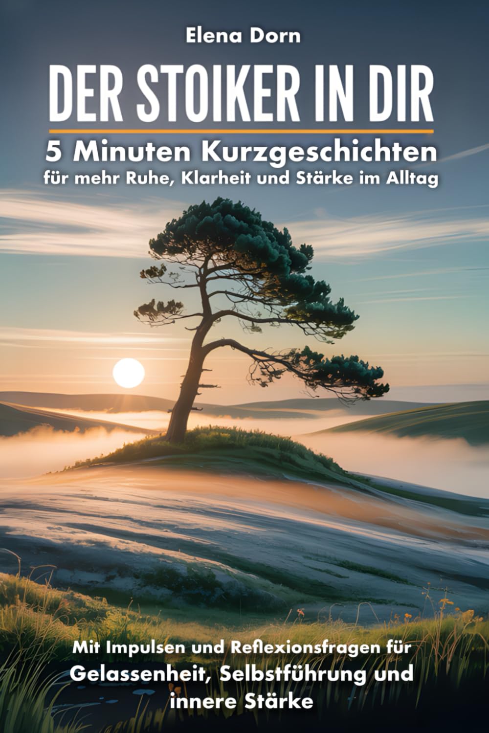 Der Stoiker in dir - 5 Minuten Kurzgeschichten für mehr Ruhe, Klarheit und Stärke im Alltag Social Sciences