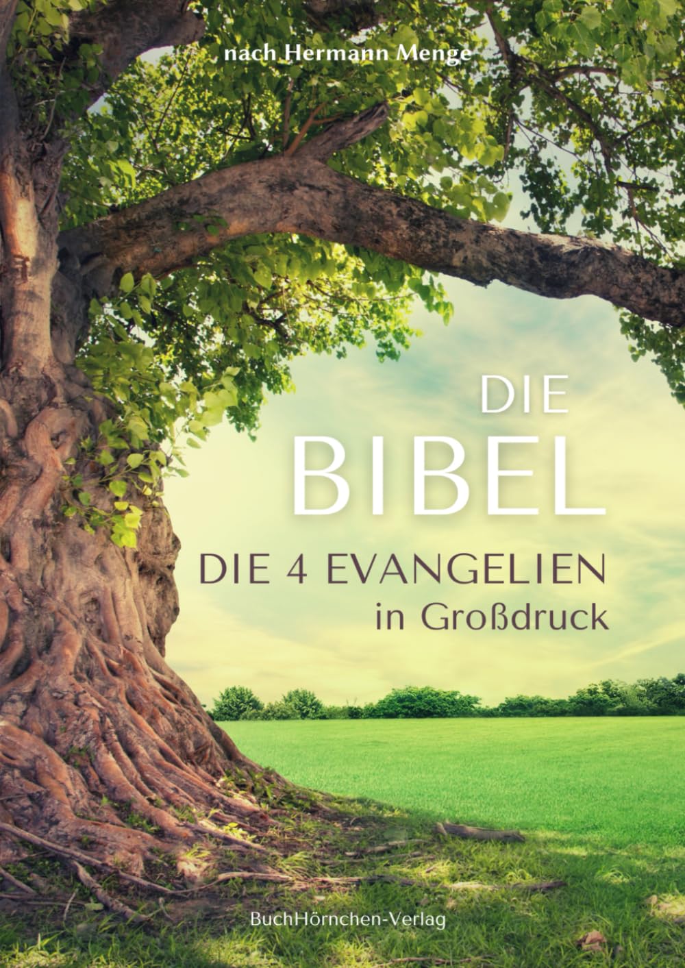Die Bibel nach Hermann Menge: Die 4 Evangelien in Großdruck Religion & Esotericism