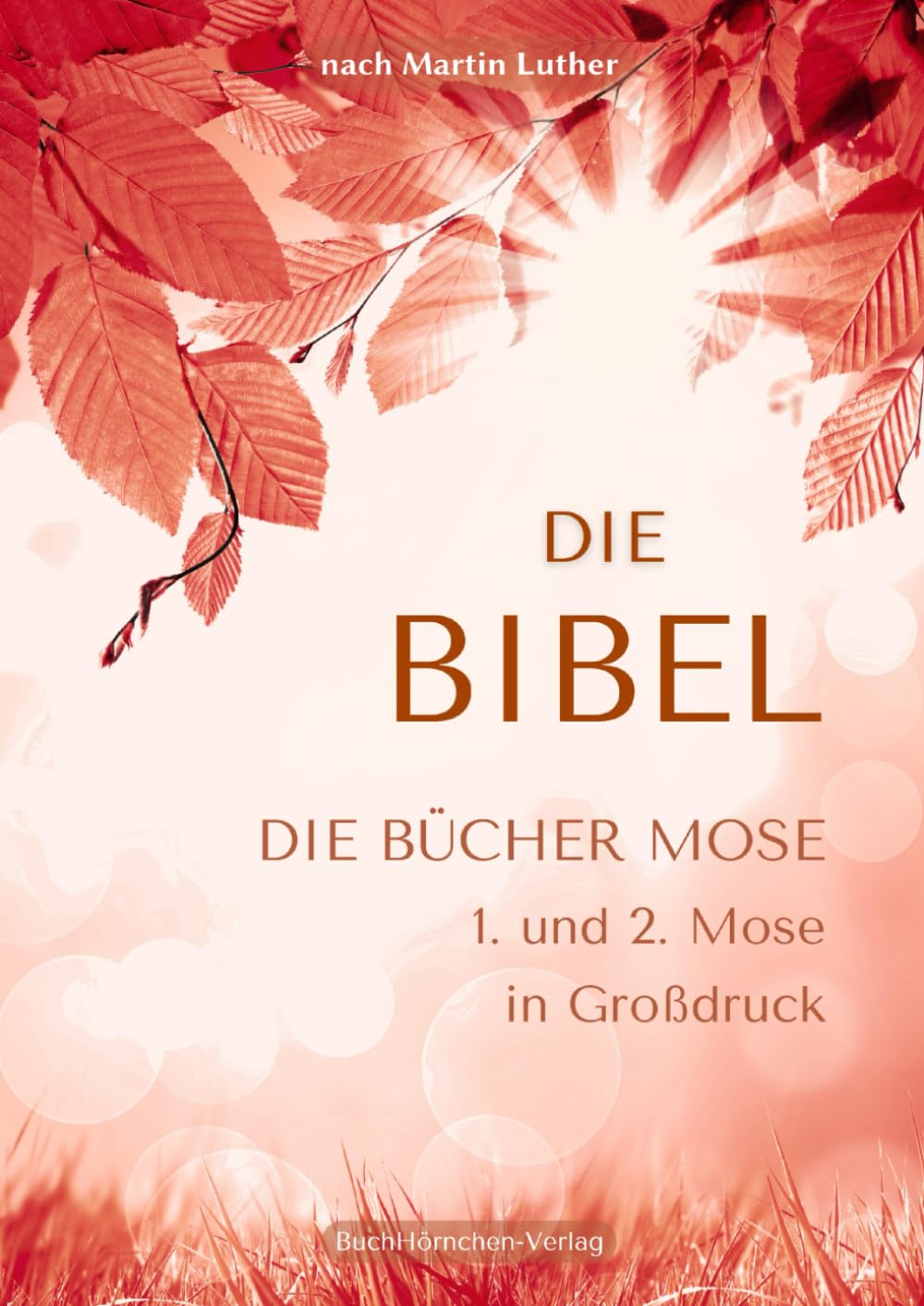 Die Bücher Mose - 1. und 2. Mose in Großdruck: Die Bibel nach Martin Luther Religion & Esotericism