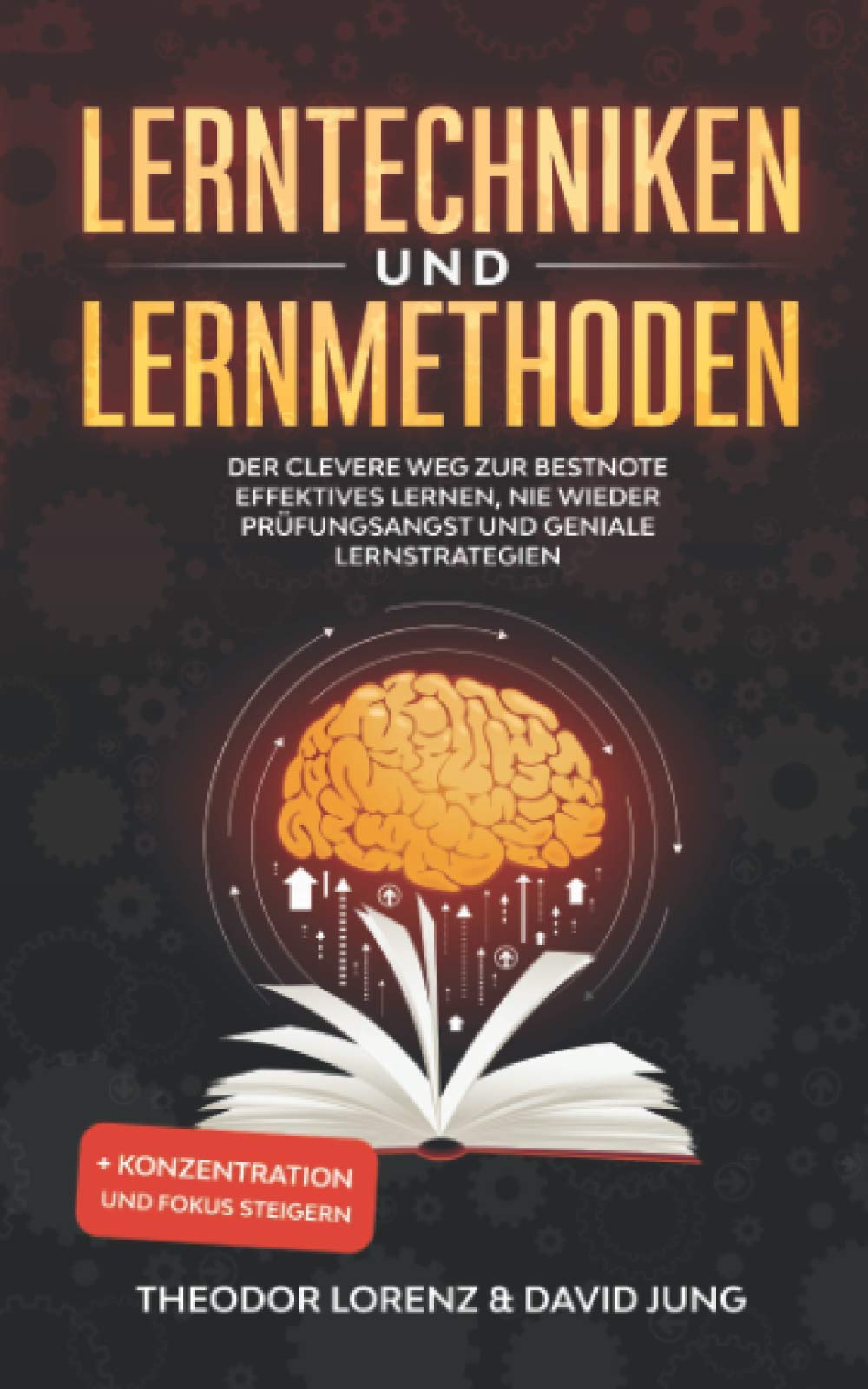 Lerntechniken und Lernmethoden: Der clevere Weg zur Bestnote - Effektives Lernen, nie wieder Prüfungsangst und geniale Lernstrategien + Konzentration und Fokus steigern Contemporary literature Books