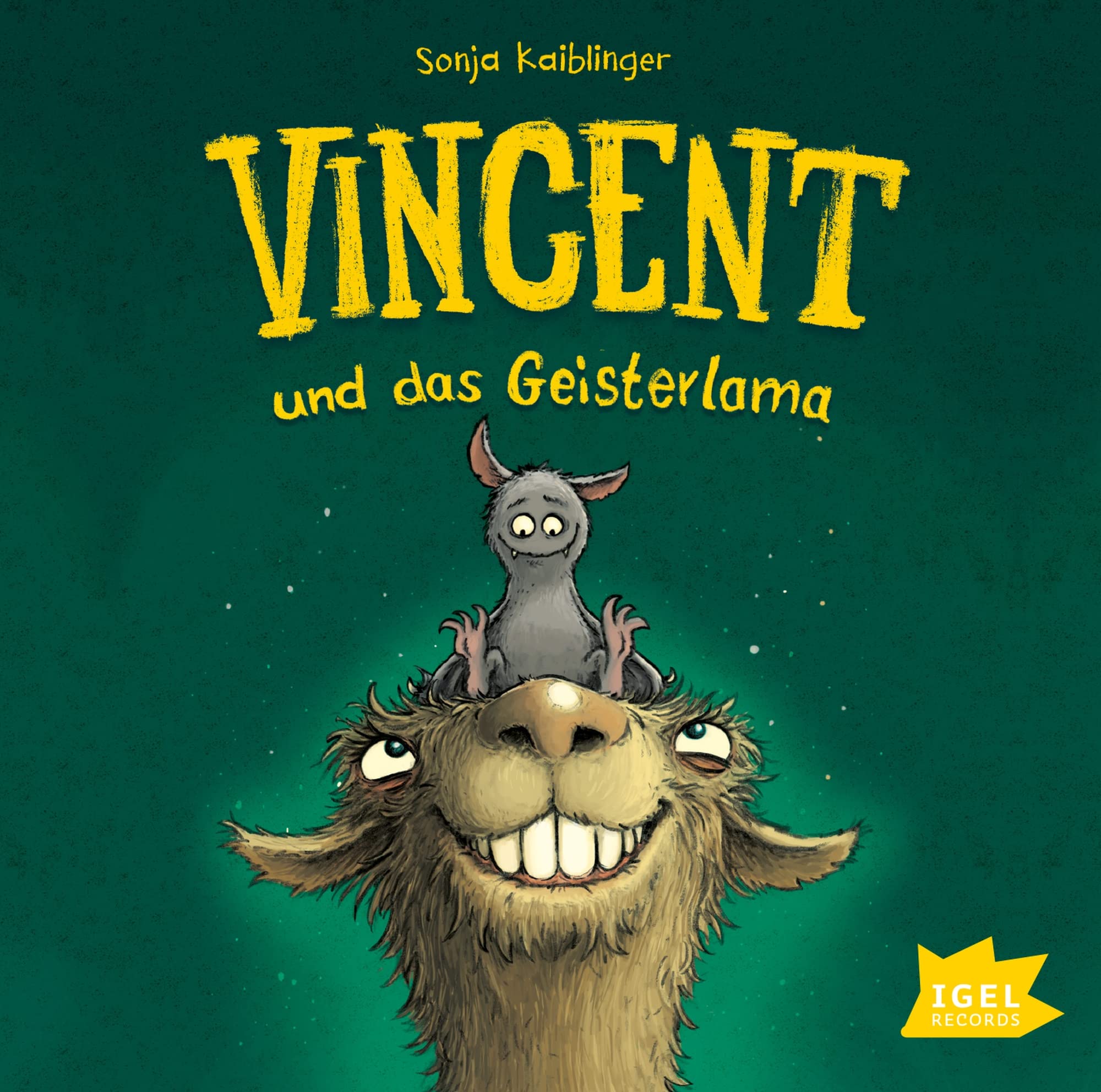 Vincent und das Geisterlama Non-fiction