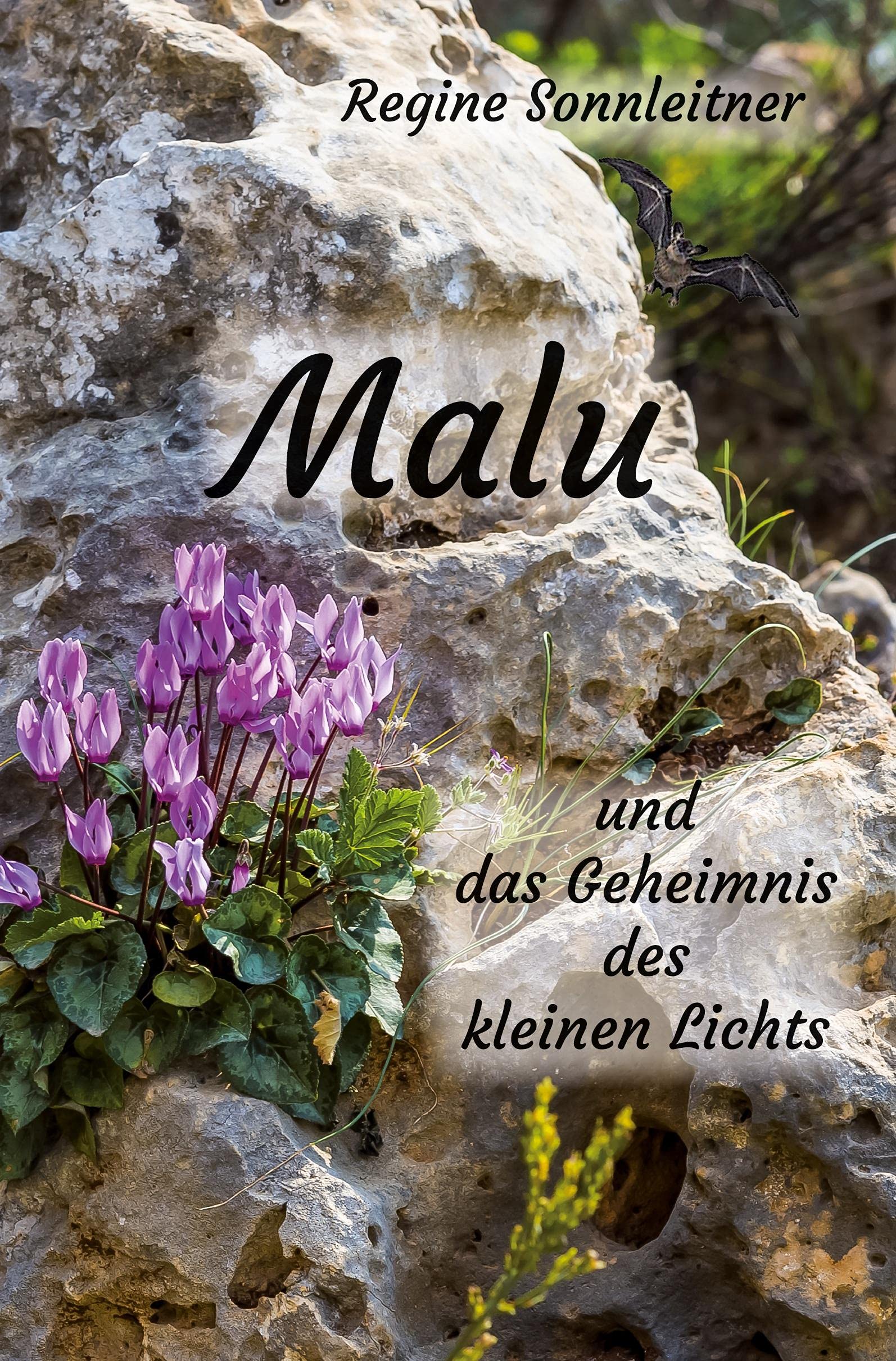 Malu und das Geheimnis des kleinen Lichts Fairy Tales & Legends