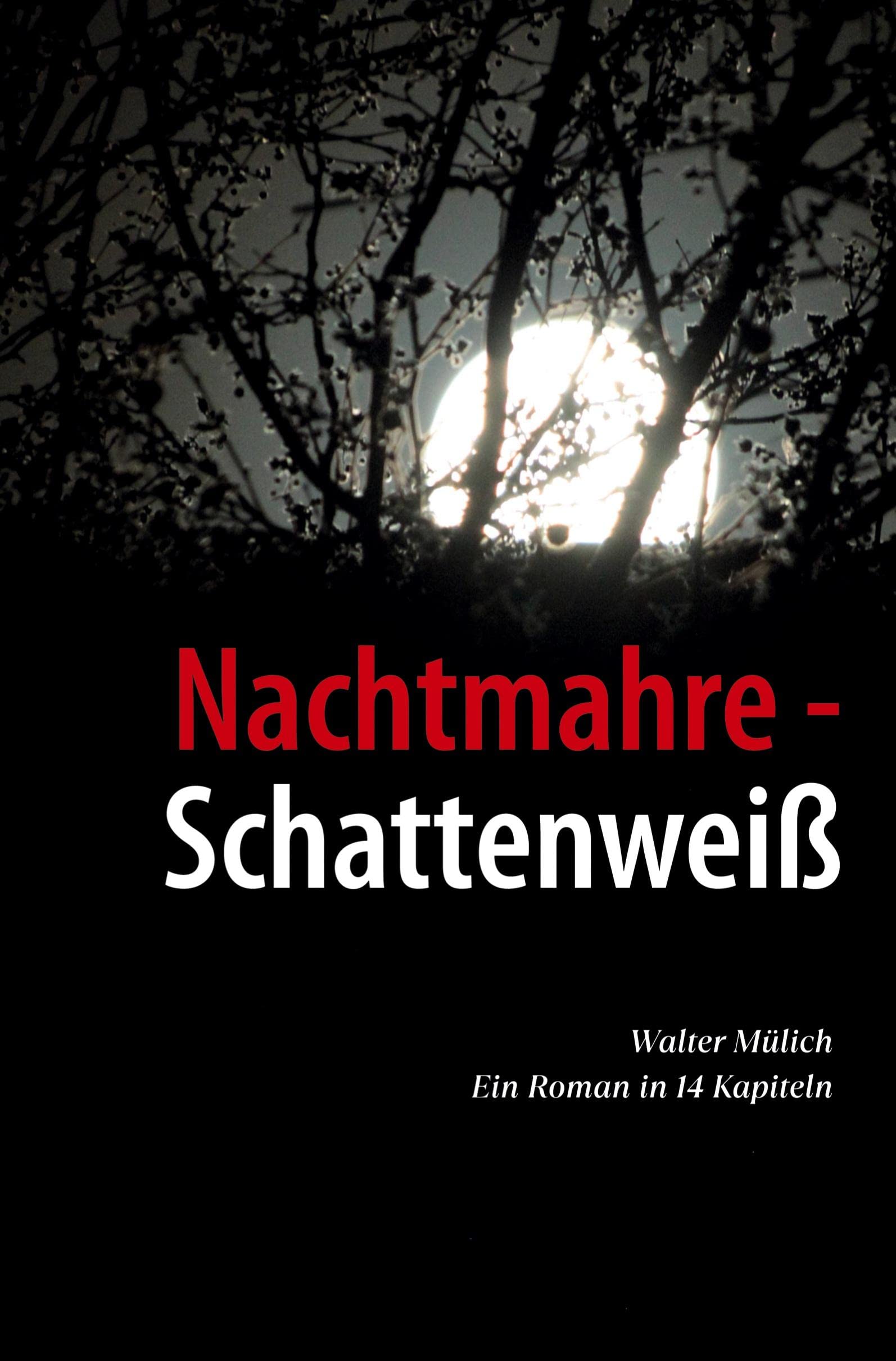 Nachtmahre - Schattenweiß: Ein Roman in 14 Kapiteln Contemporary literature