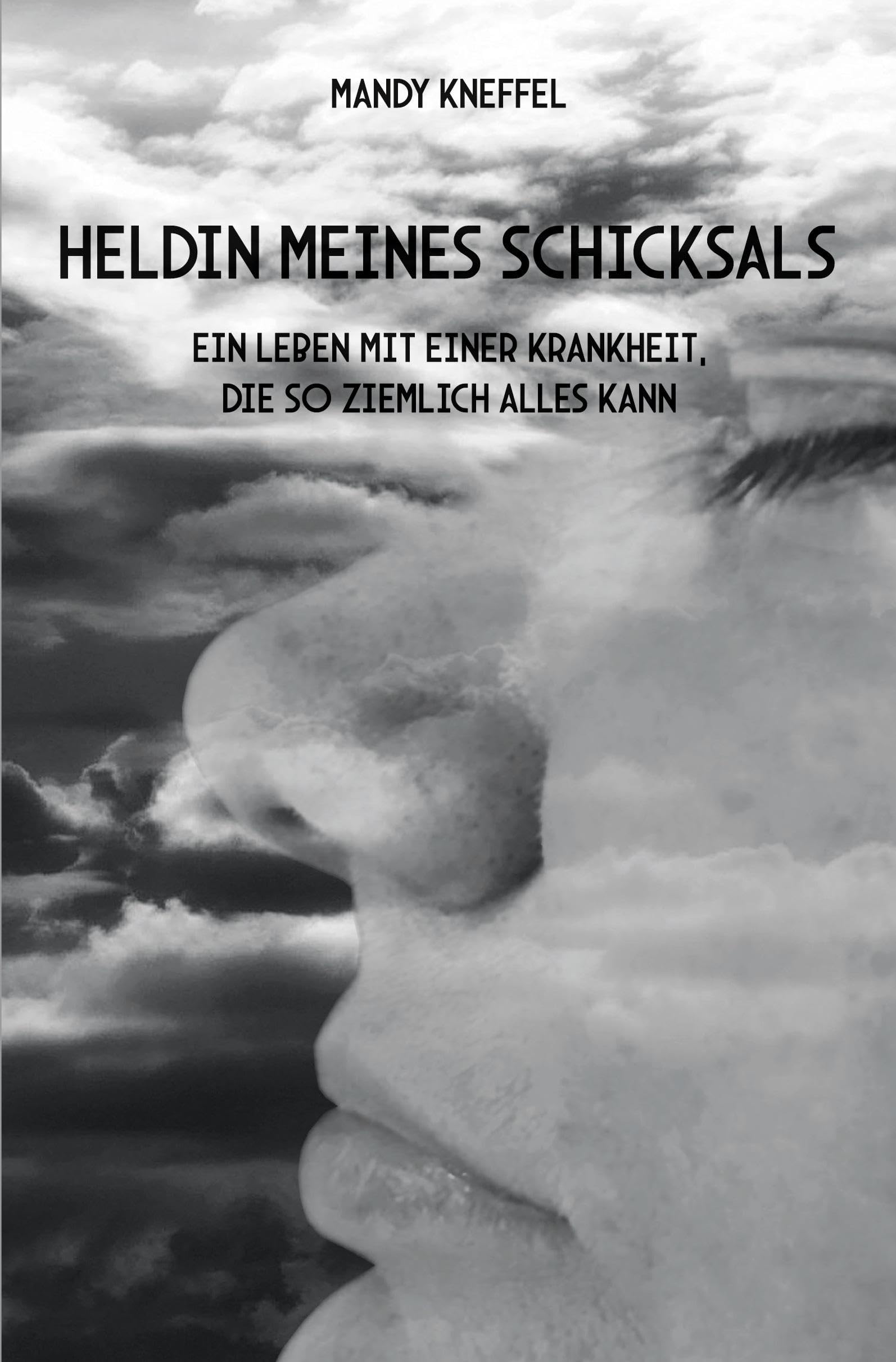 Heldin meines Schicksals Books