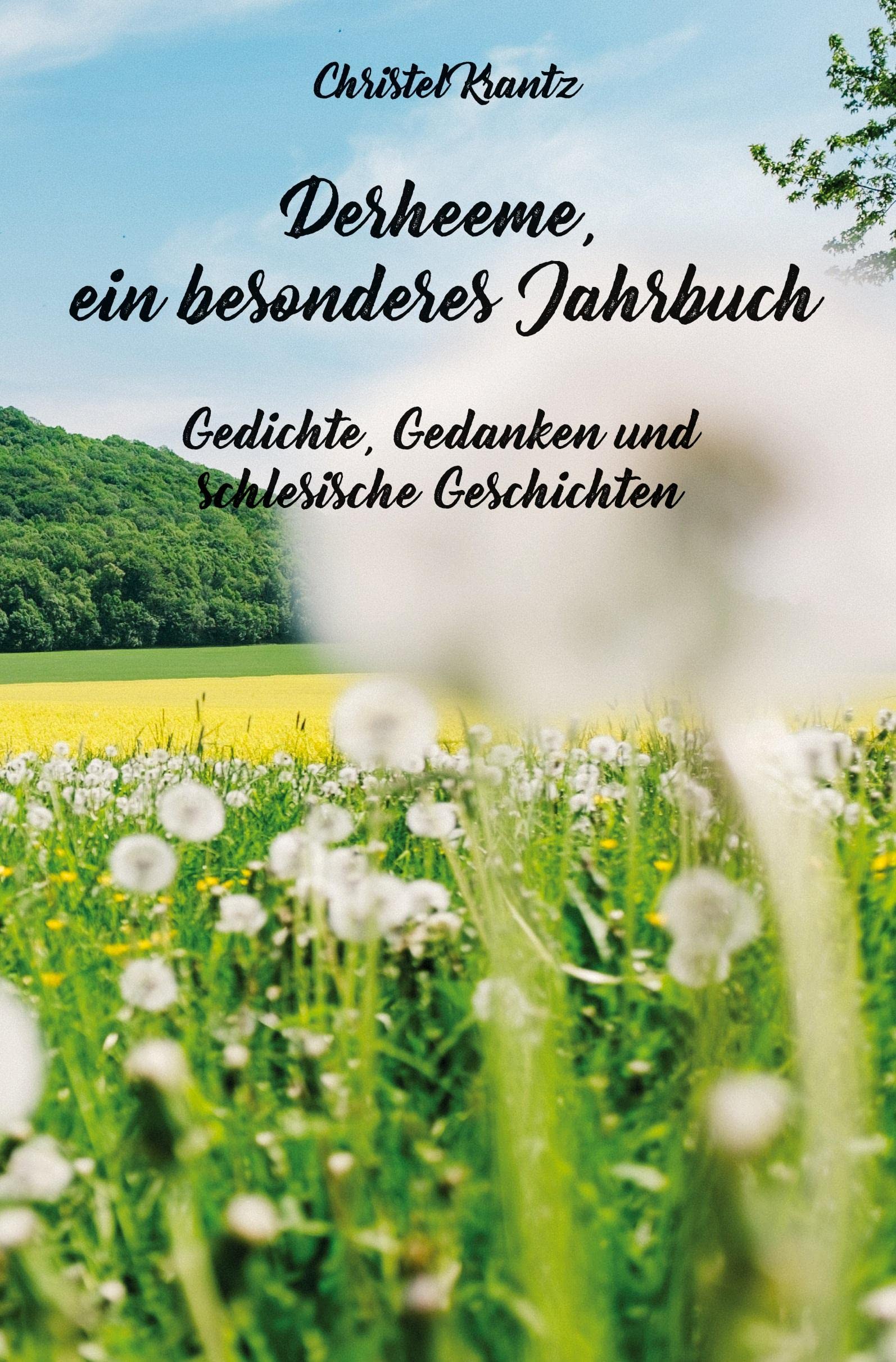 Derheeme, ein besonderes Jahrbuch: Gedichte, Gedanken und schlesische Geschichten Poetry