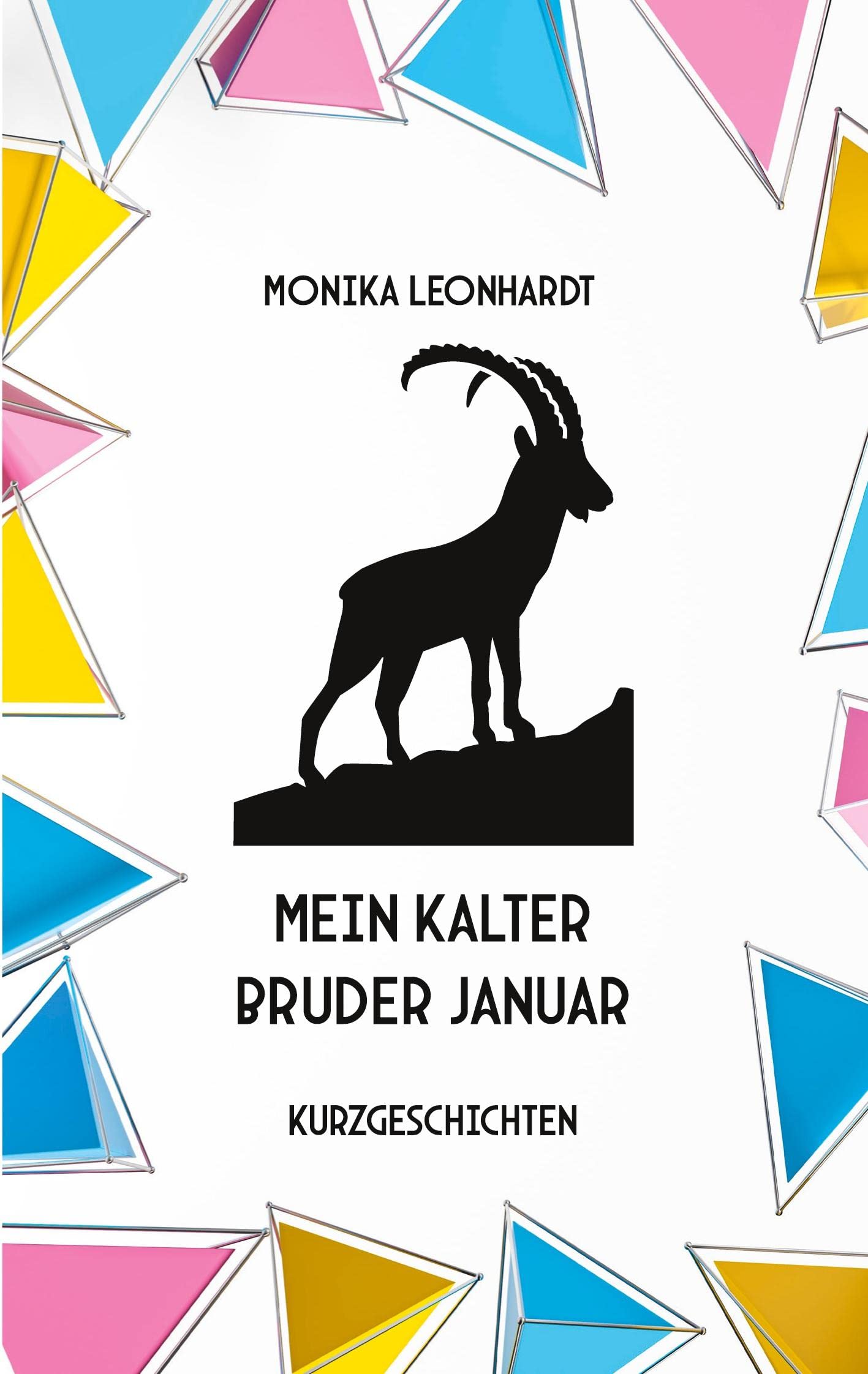 Mein kalter Bruder Januar: Kurzgeschichten Contemporary literature