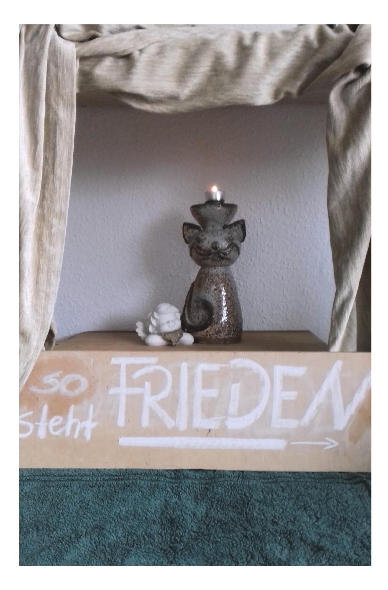 So steht FRIEDEN Contemporary literature Books