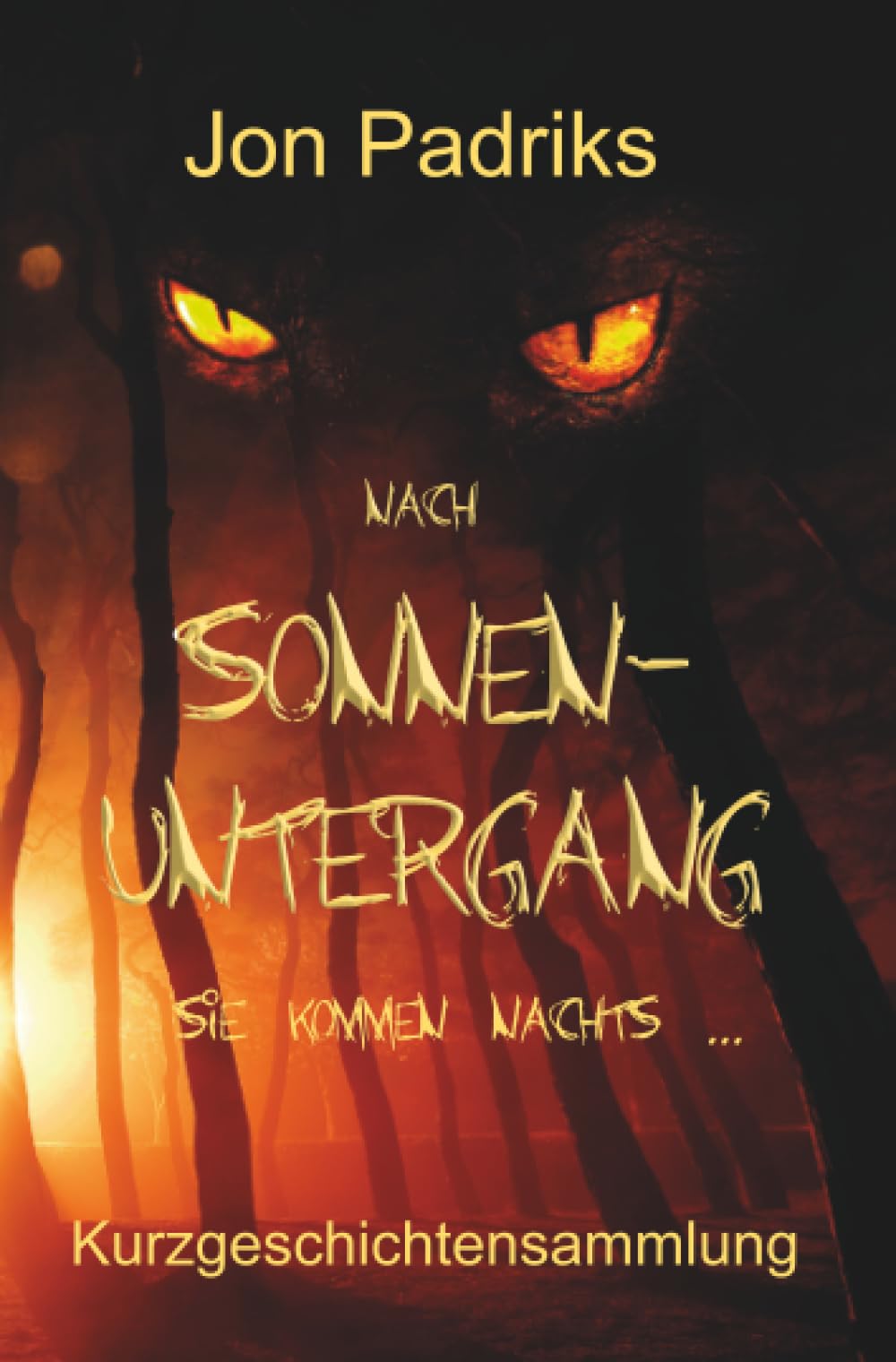 Nach Sonnenuntergang Contemporary literature Books