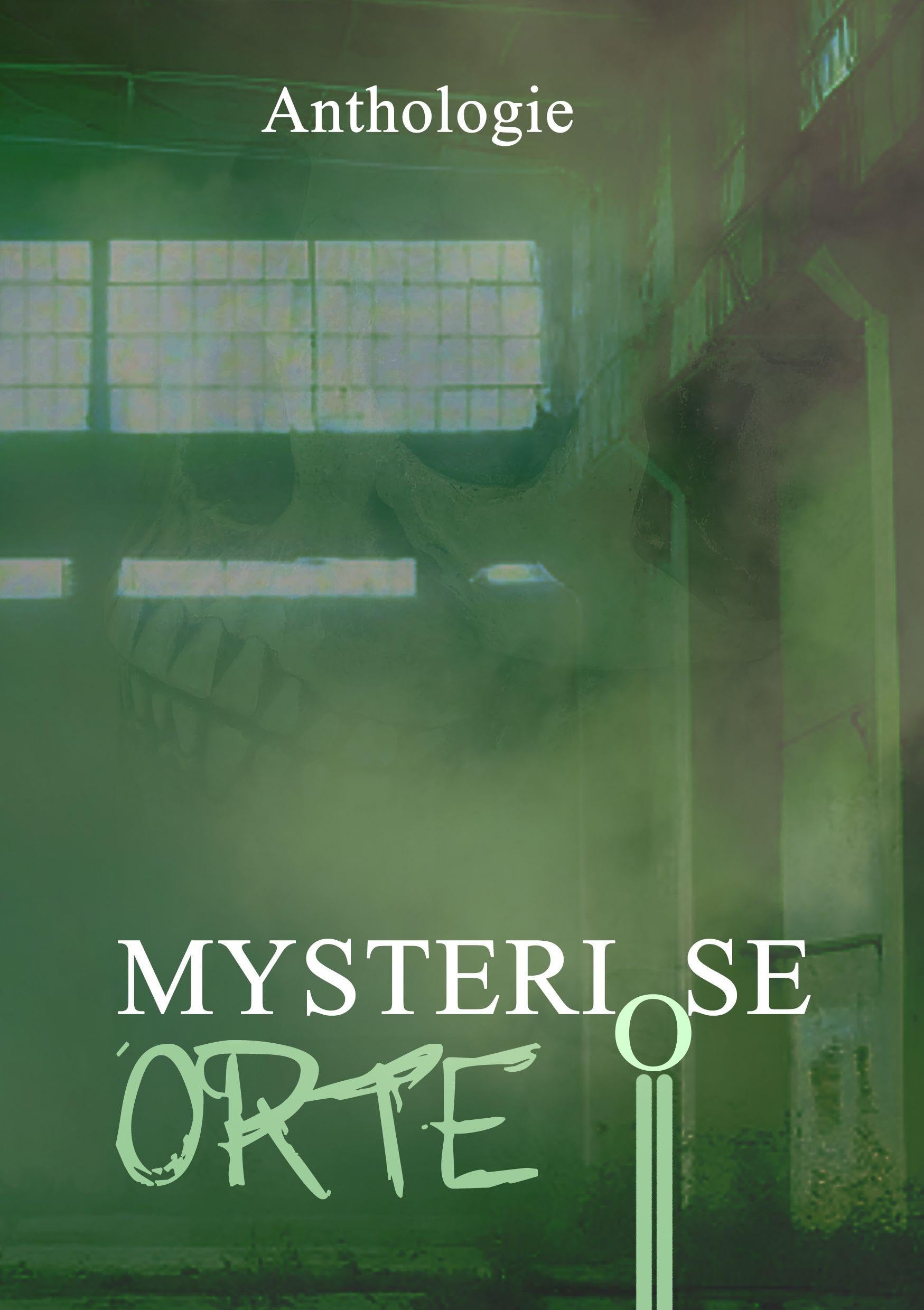 Mysteriöse Orte Contemporary literature