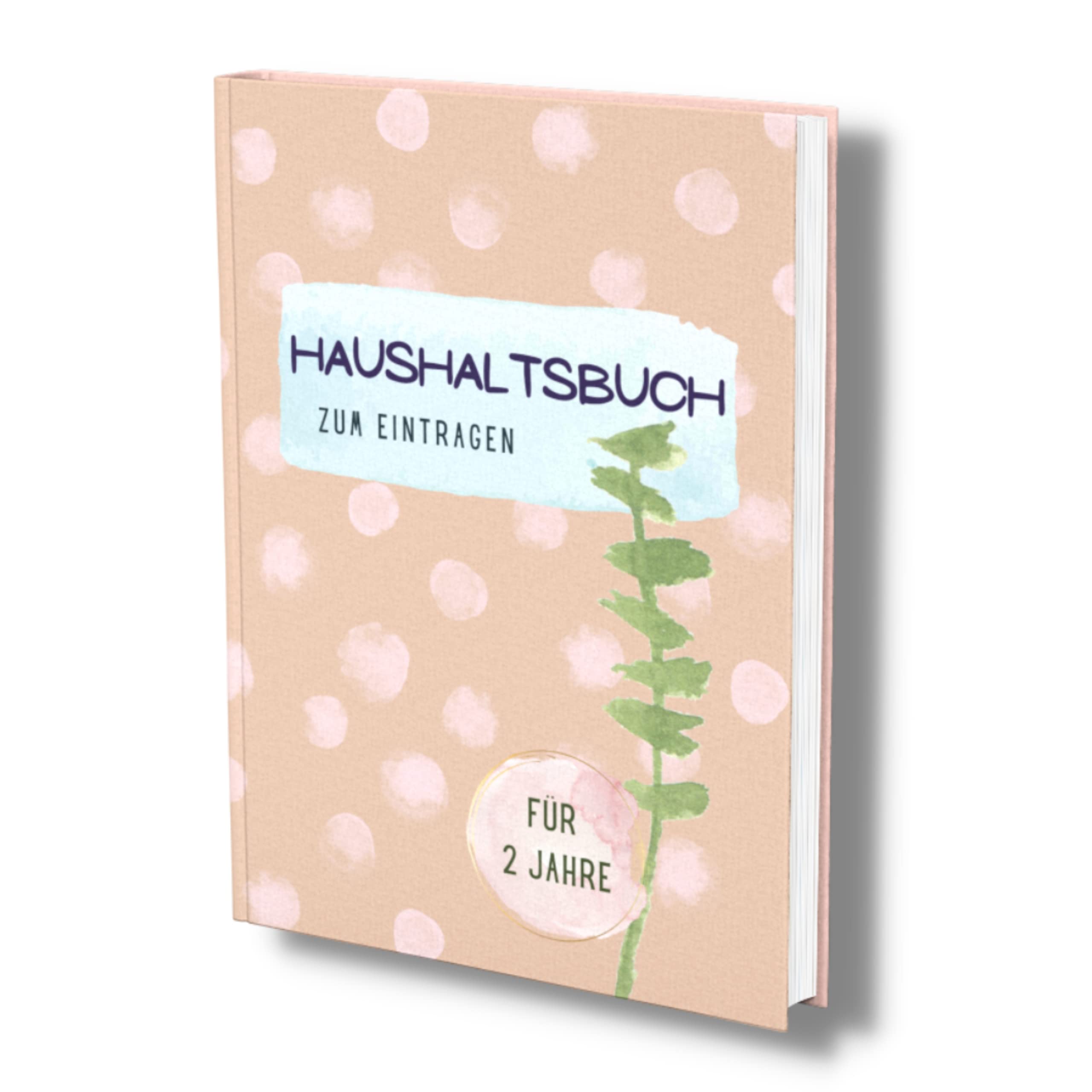 Haushaltsbuch zum Eintragen: Das Kassenbuch für 2 Jahre. Alle Einnahmen und Ausgaben übersichtlich im Blick. Undatiert, 100 Seiten. (Finanzbuch- Alles im Griff!, Band 4) Business, Finance & Career