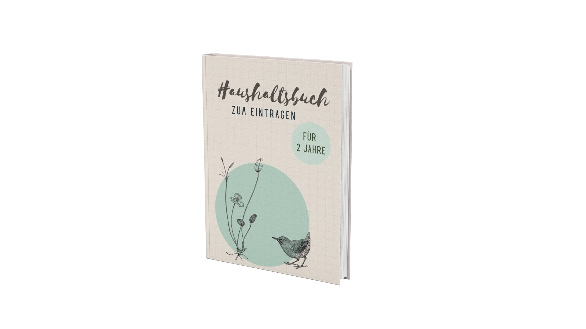 Haushaltsbuch zum Eintragen: 2 Jahre undatiert- Mit übersichtlichen Tabellen für den perfekten Überblick aller Finanzen (Finanzbuch- Alles im Griff!, Band 3) Business, Finance & Career