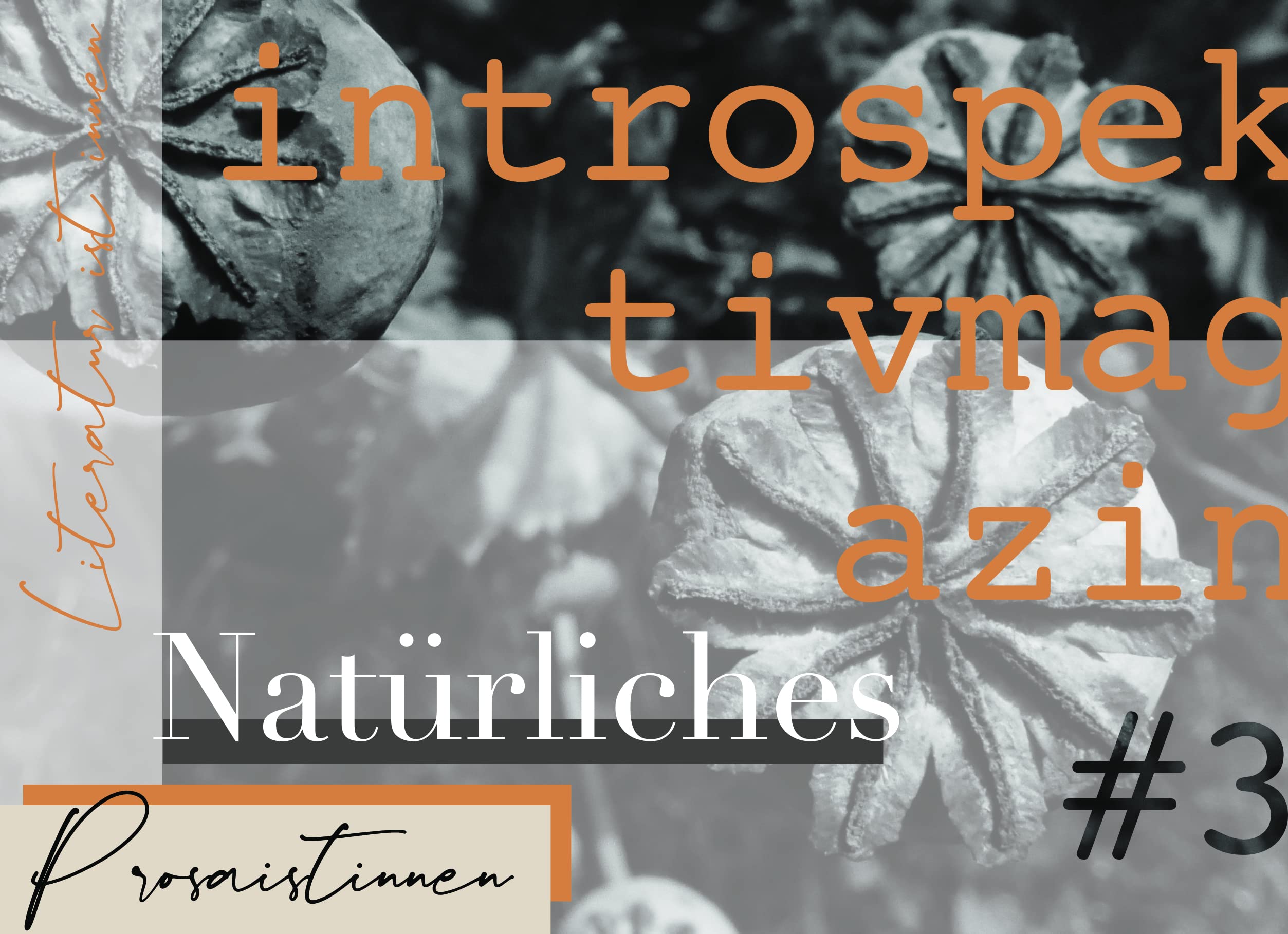 introspektiv #3 - Natürliches Contemporary literature