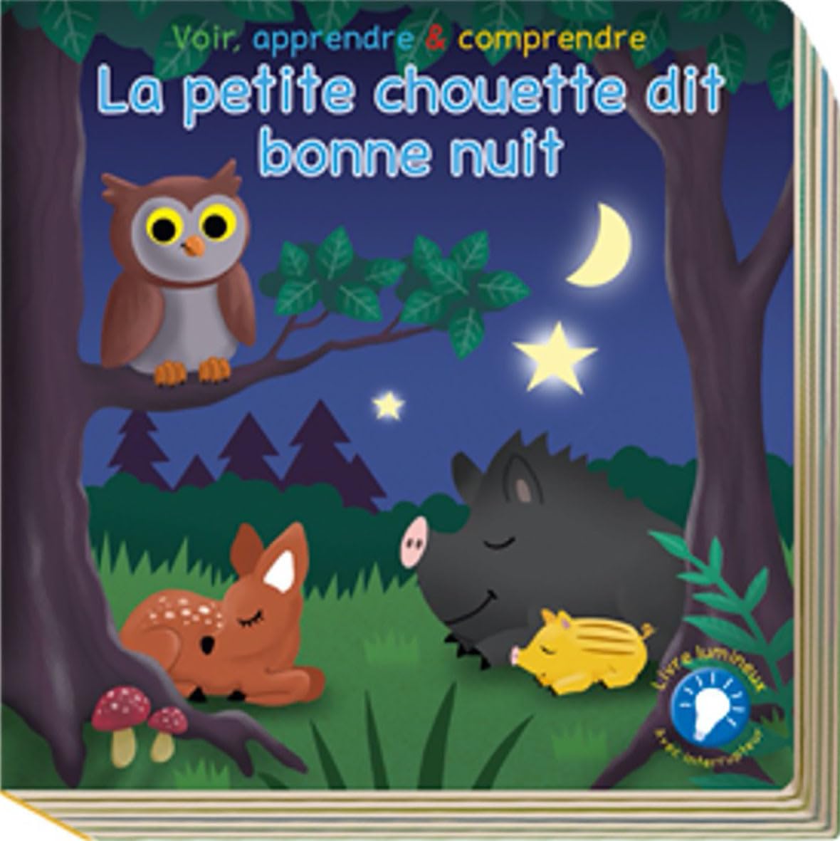 Le petit hibou dit bonne nuit voir, apprendre & comprendre book