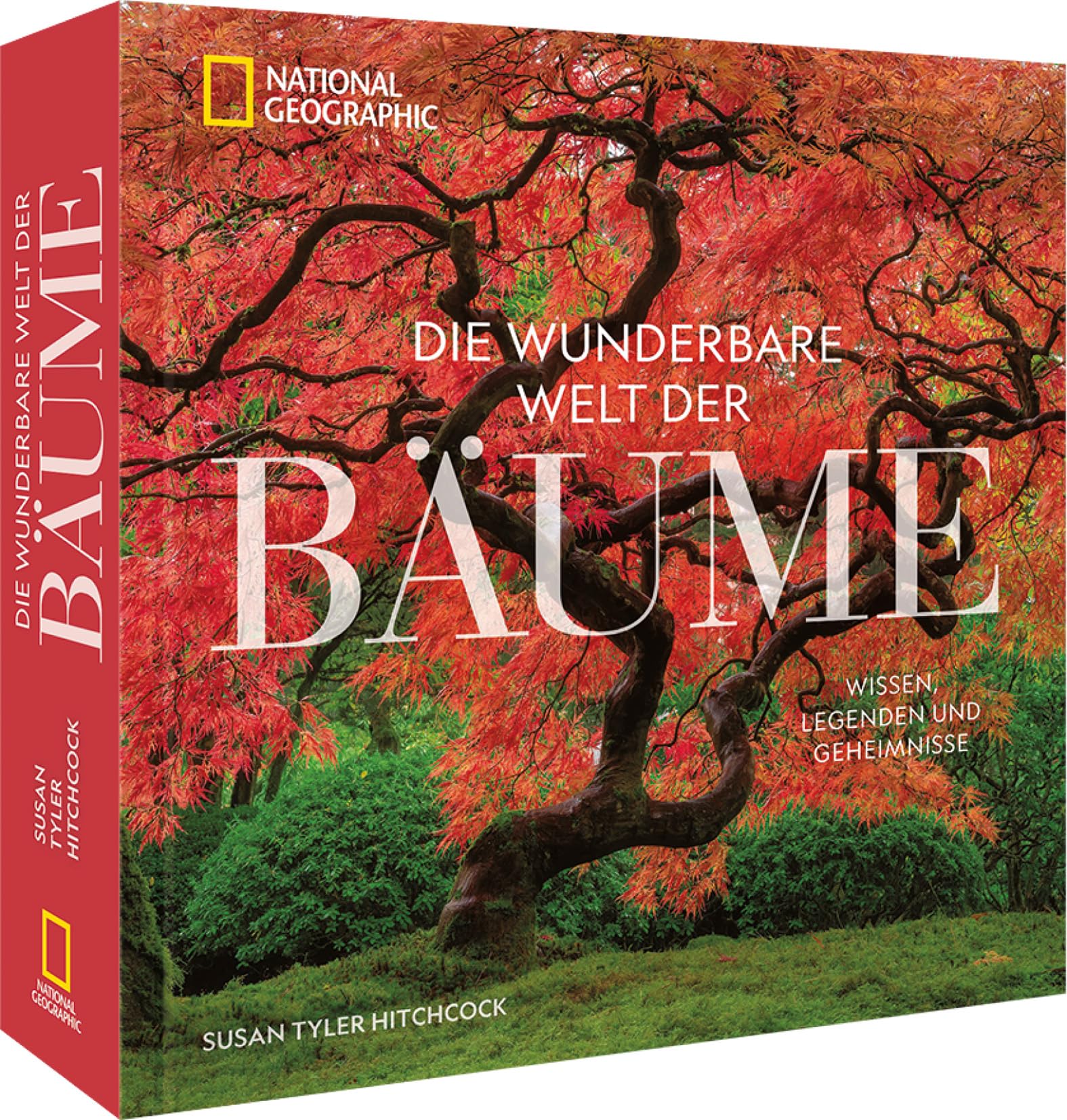 Die wunderbare Welt der Bäume Leisure, Home & Garden