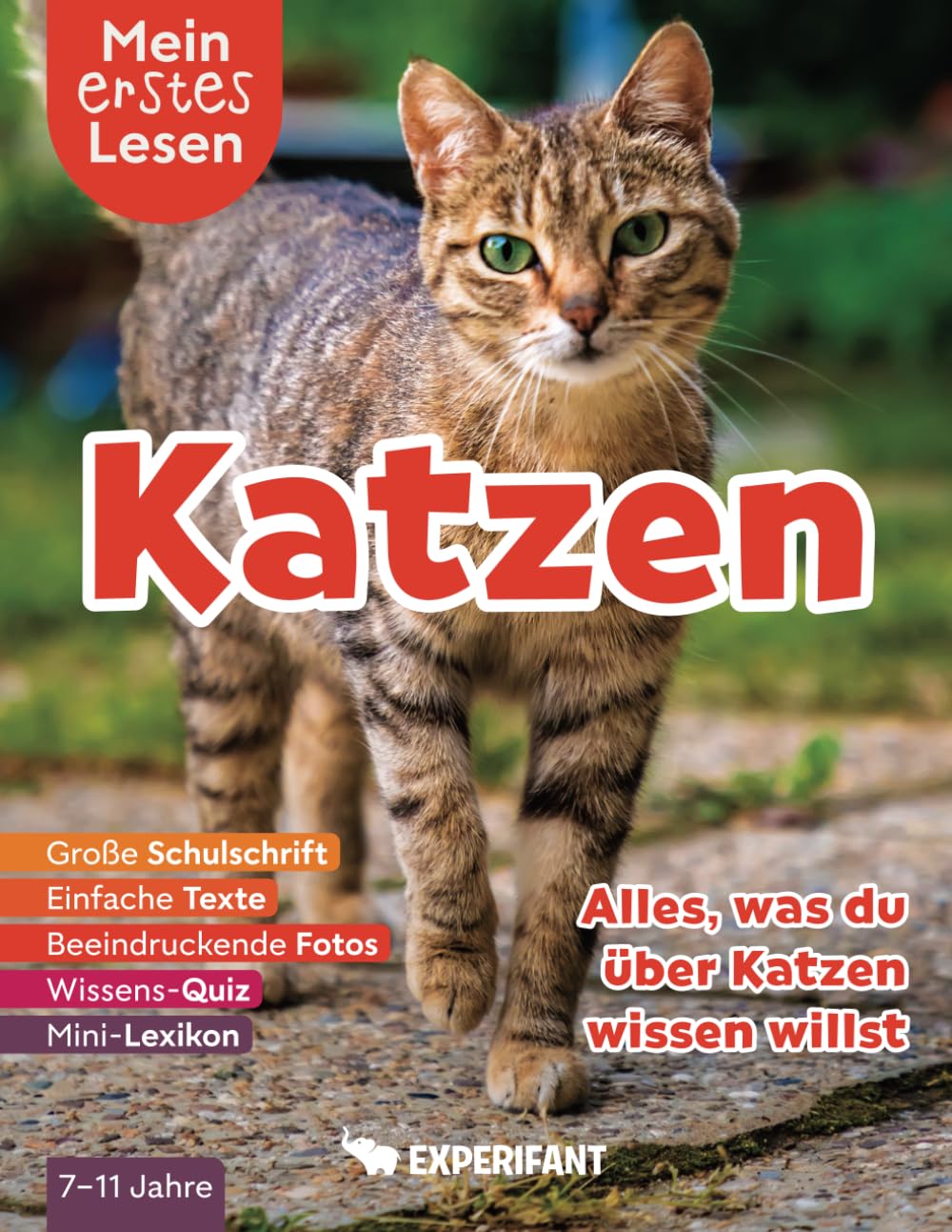 Mein erstes Lesen: Katzen - Alles was du über Katzen wissen willst: Spannendes Wissen für Erstleser - Mit einfachen Texten, großer Schulschrift, ... Lesen: Spannendes Wissen für Erstleser) Mathematics