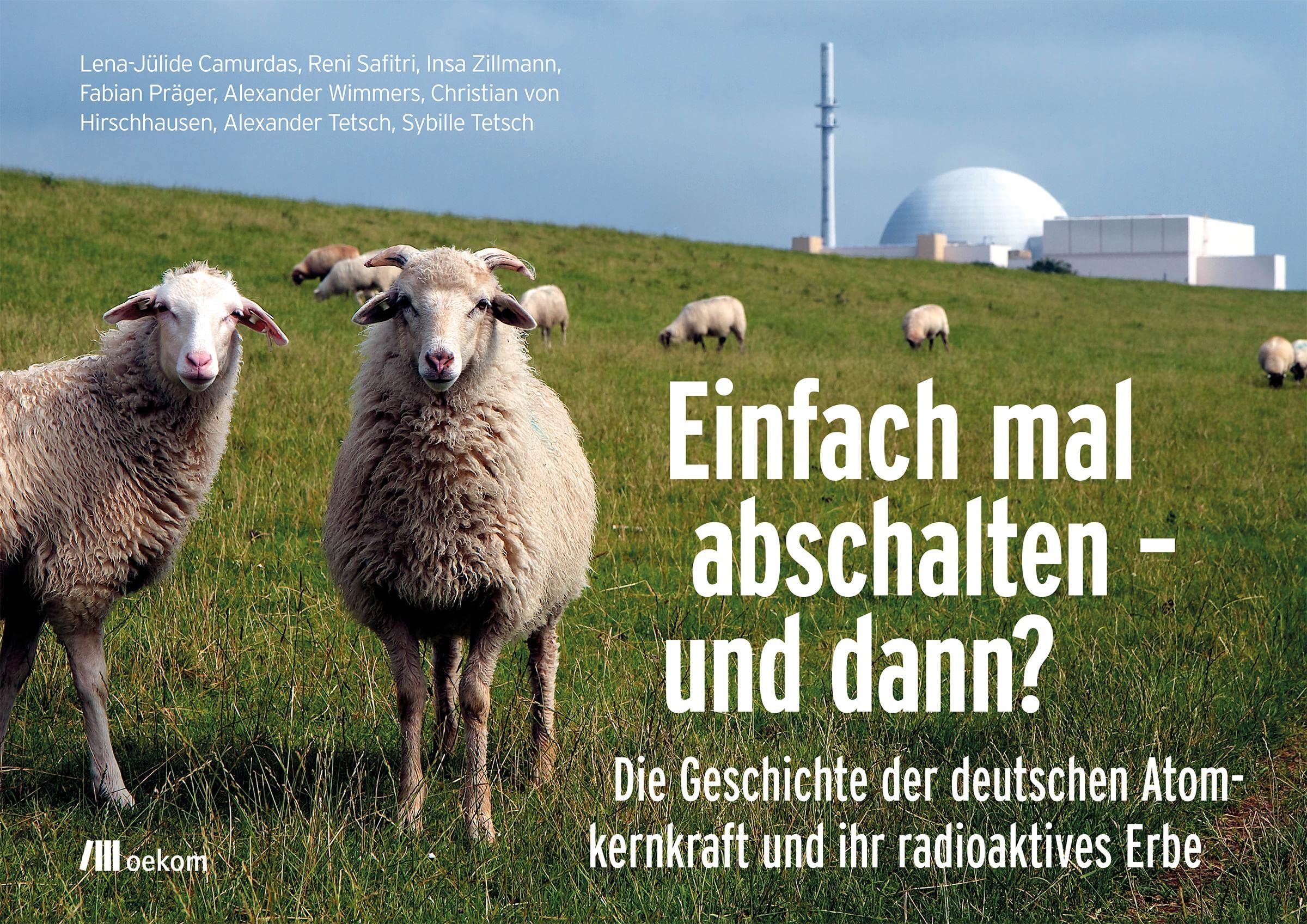 Einfach mal abschalten – und dann?: Die Geschichte der deutschen Atomkernkraft und ihr radioaktives Erbe Mathematics