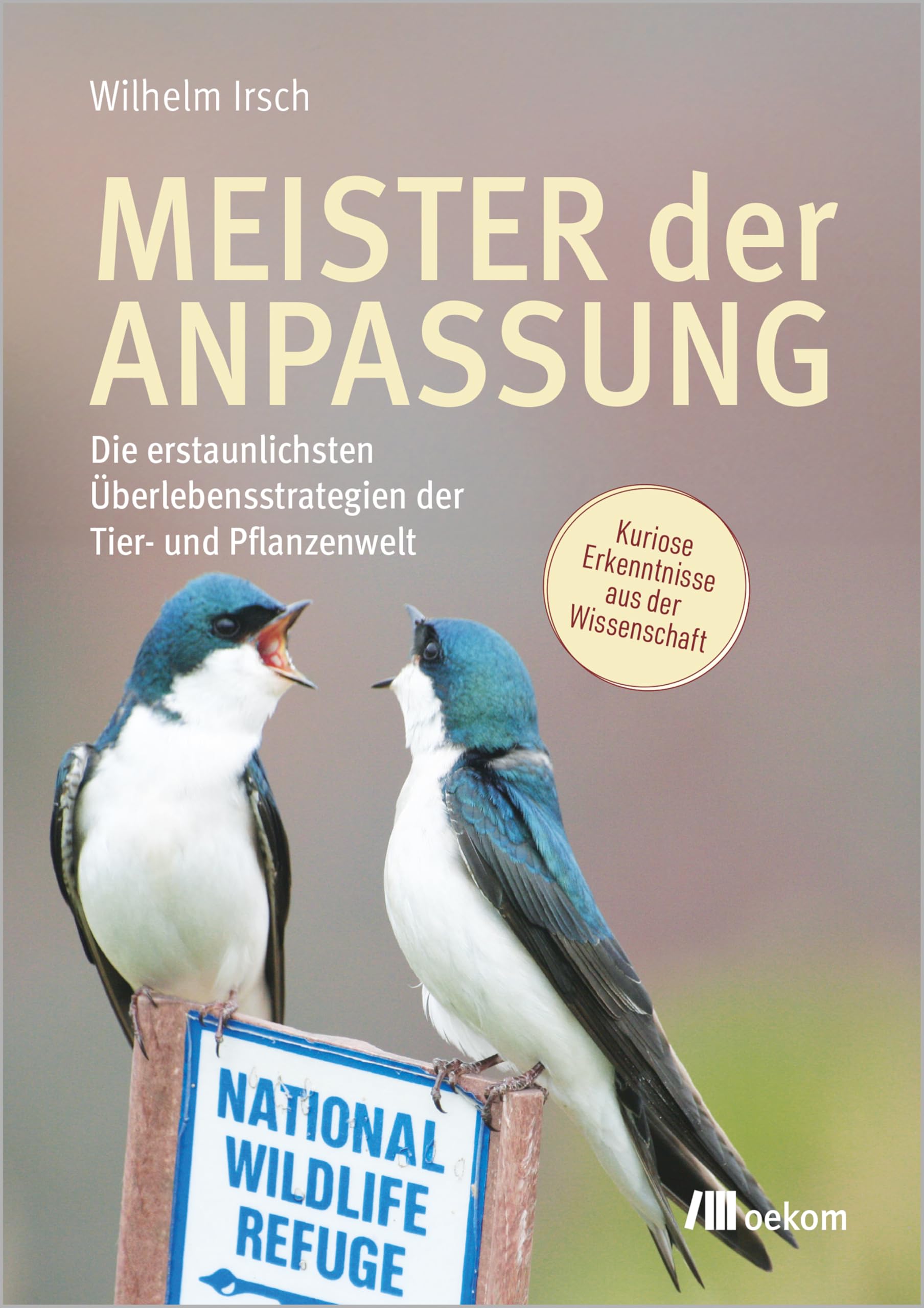 Meister der Anpassung Mathematics