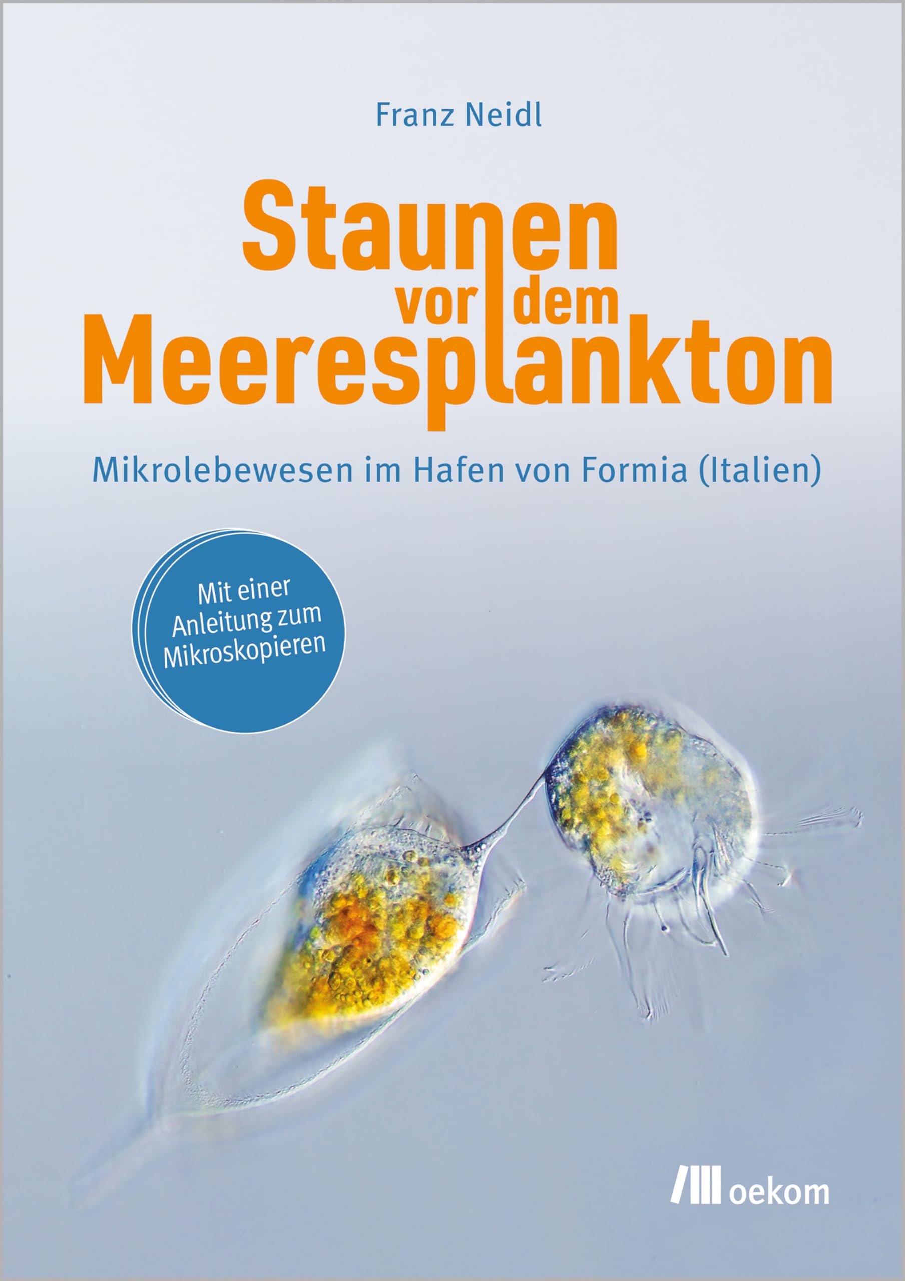 Staunen vor dem Meeresplankton Photography