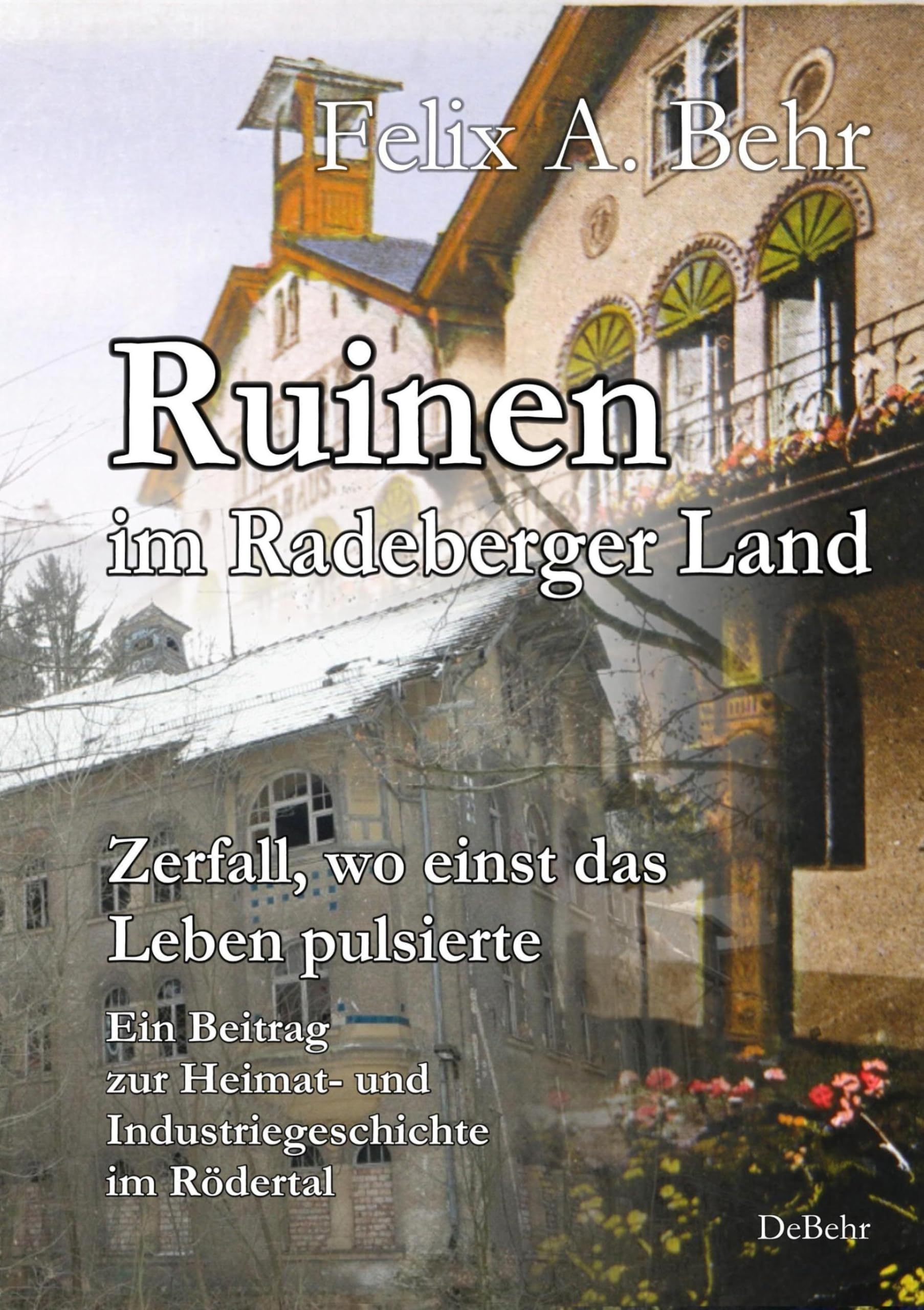 Ruinen im Radeberger Land – Zerfall, wo einst das Leben pulsierte - Ein Beitrag zur Heimat- und Industriegeschichte im Rödertal Politics & Society