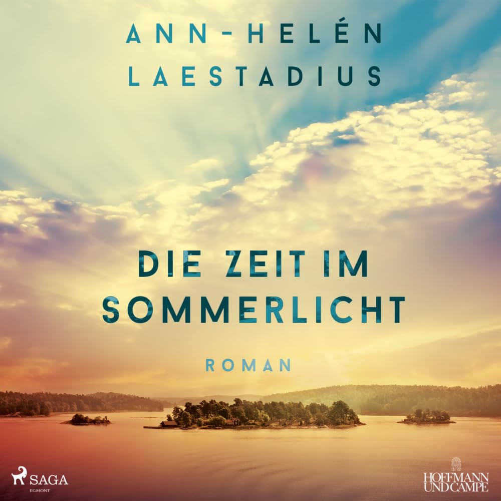Die Zeit im Sommerlicht Contemporary literature