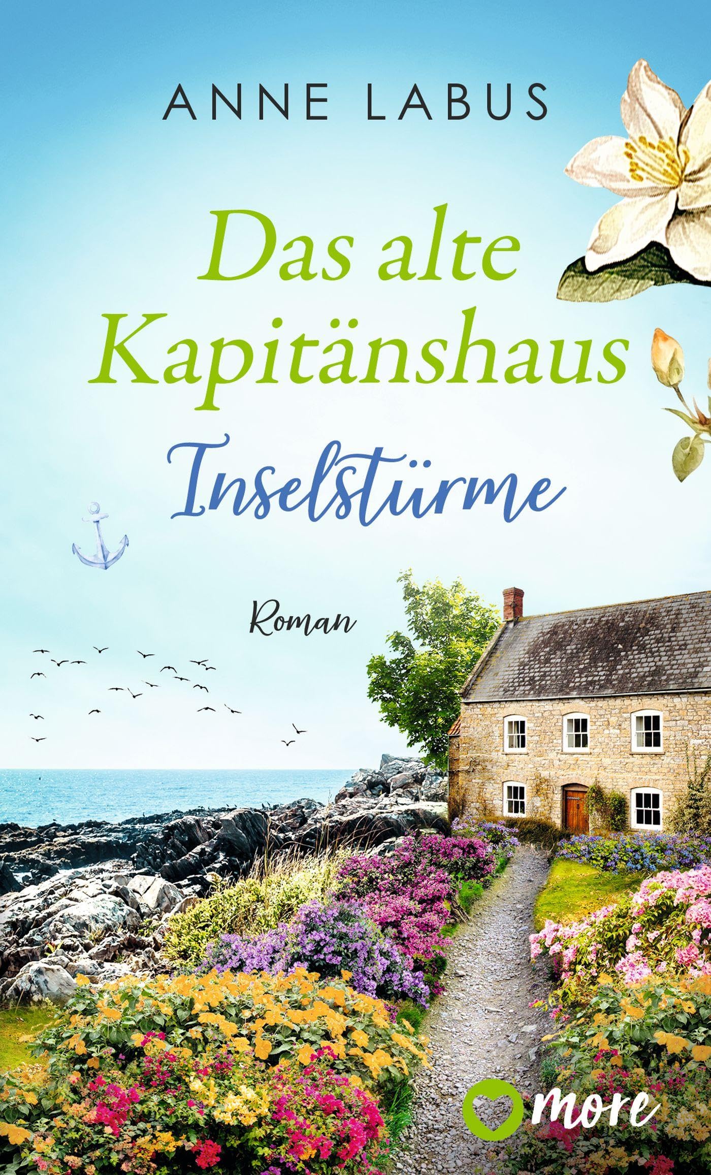 Das alte Kapitänshaus - Inselstürme book