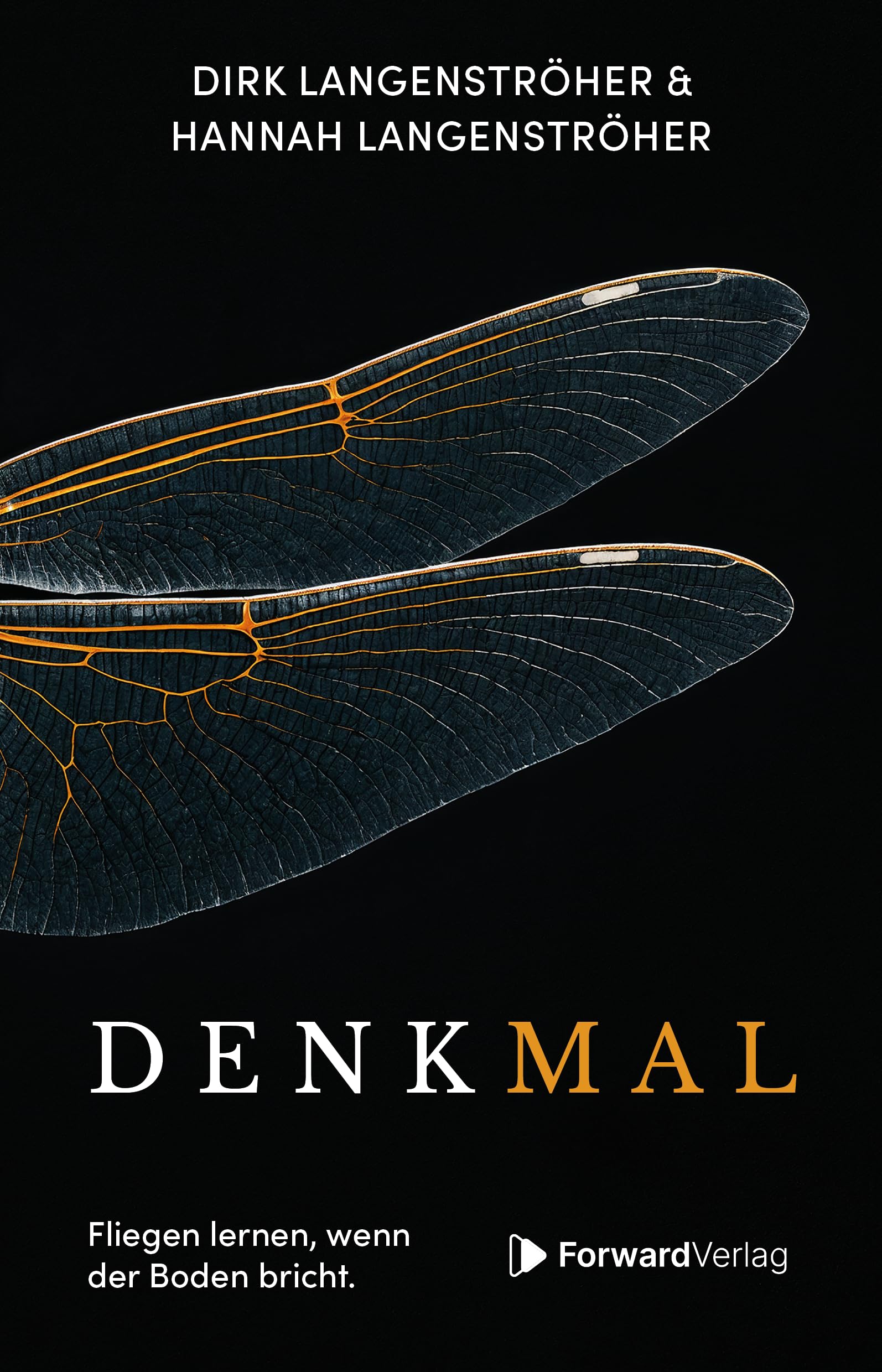 Denkmal: Fliegen lernen, wenn der Boden bricht. Business, Finance & Career