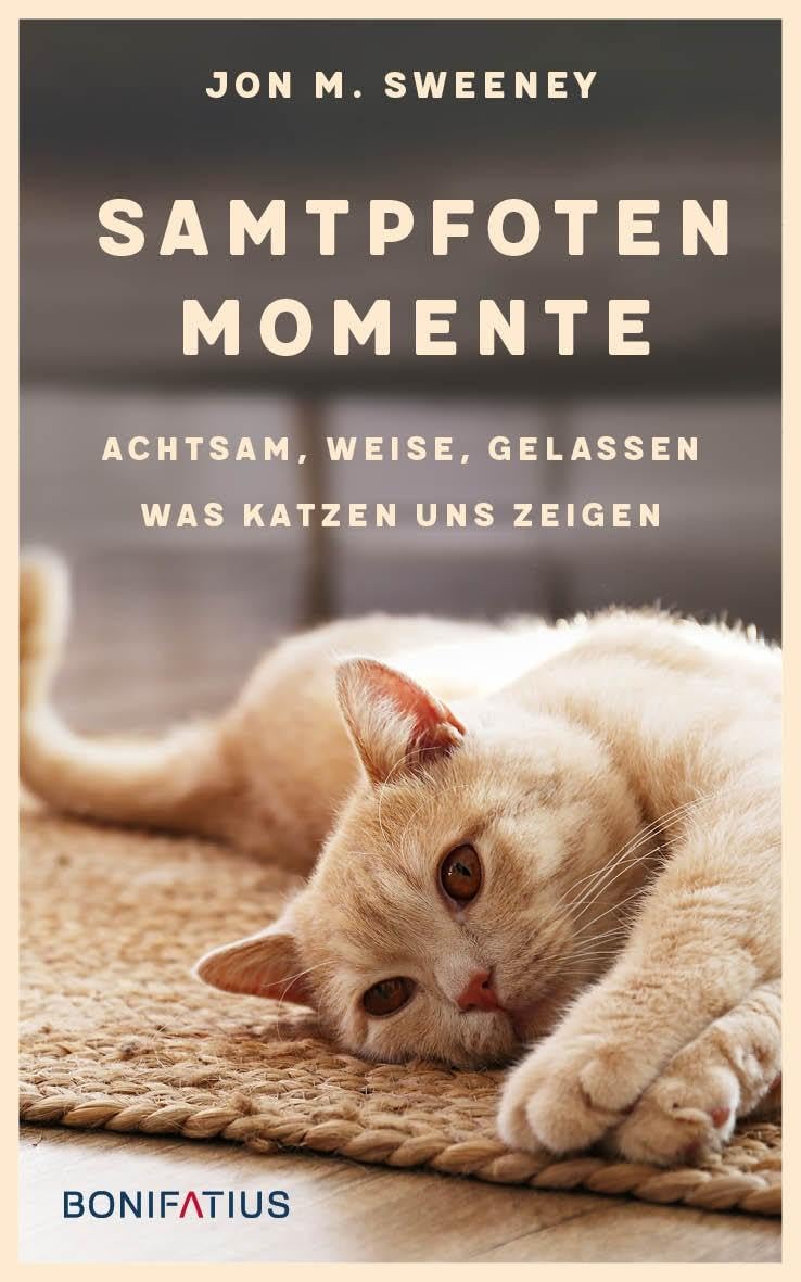 Product Image: Samtpfotenmomente