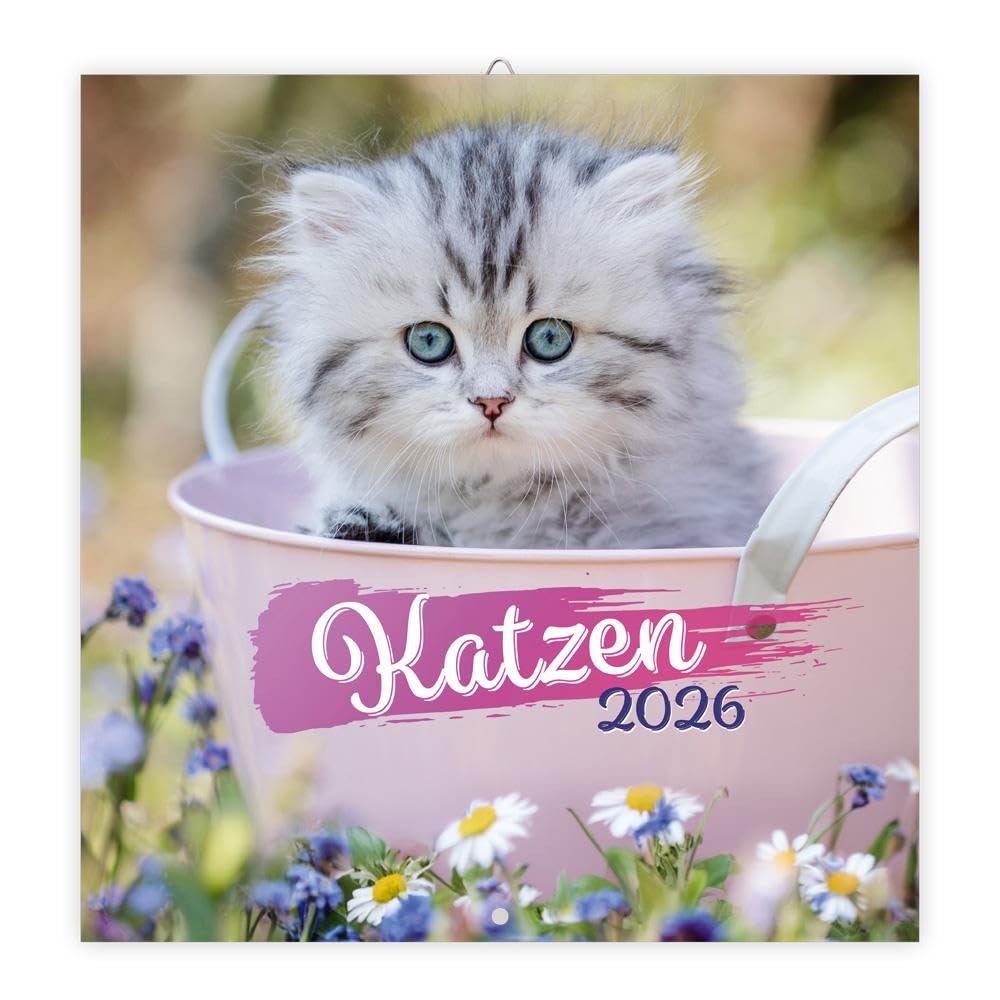 Trötsch Broschürenkalender Katzen 2026: Wandplaner Pets