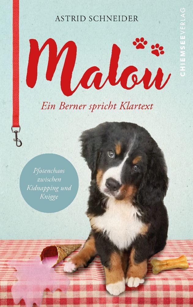 Malou - ein Berner spricht Klartext: Pfotenchaos zwischen Kidnapping und Knigge Law