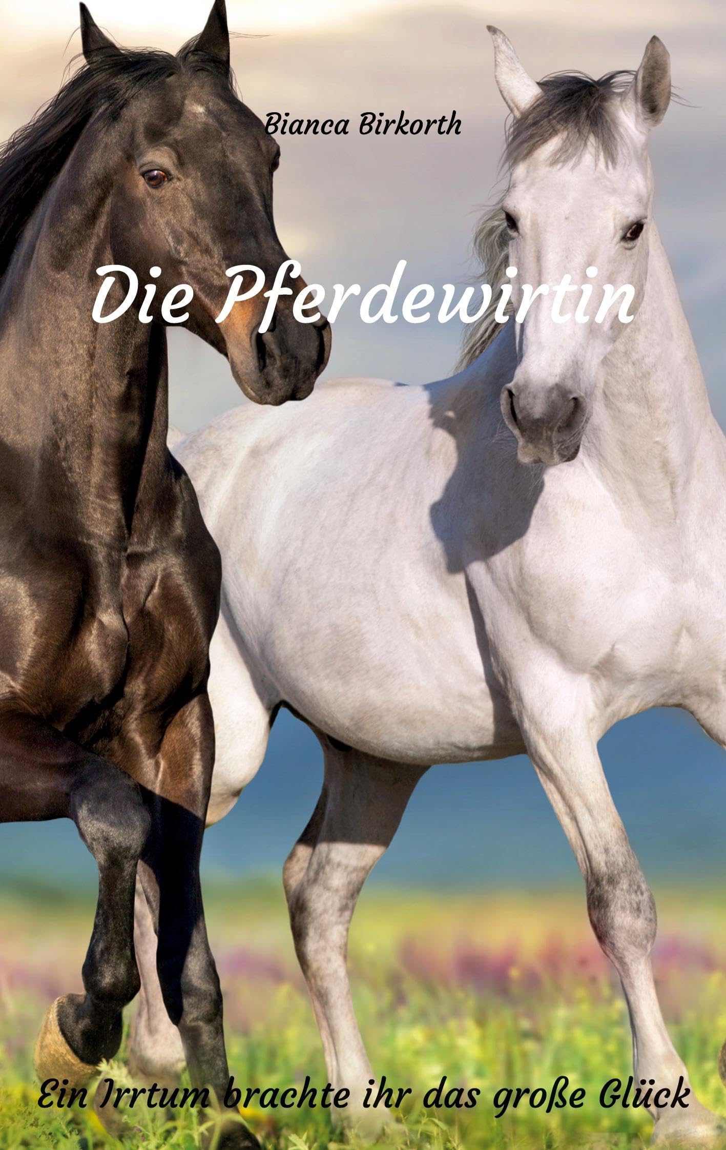 Die Pferdewirtin: Ein Irrtum brachte ihr das große Glück Contemporary literature