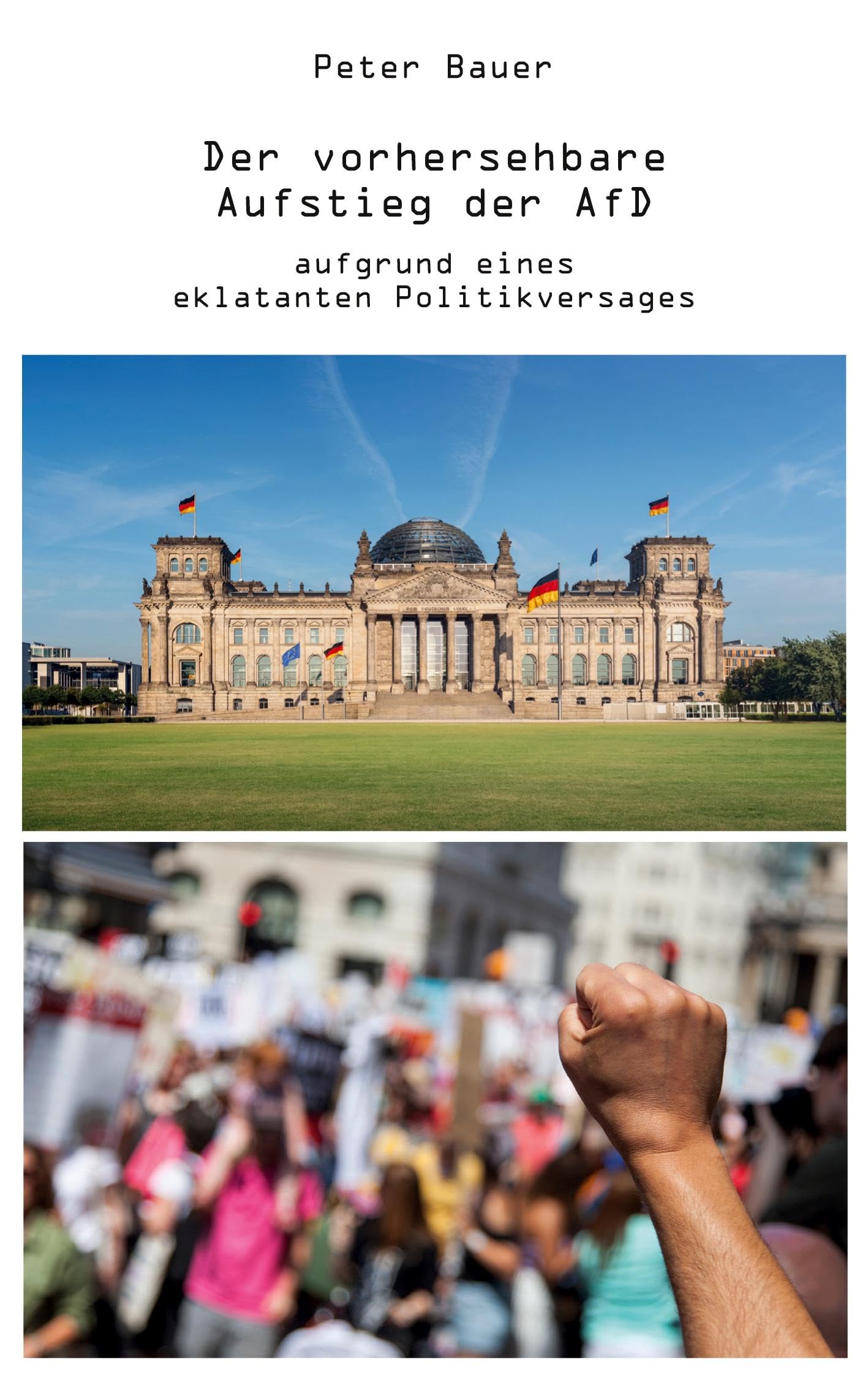 Der vorhersehbare Aufstieg der AfD: aufgrund eines eklatanten Politikversages Law