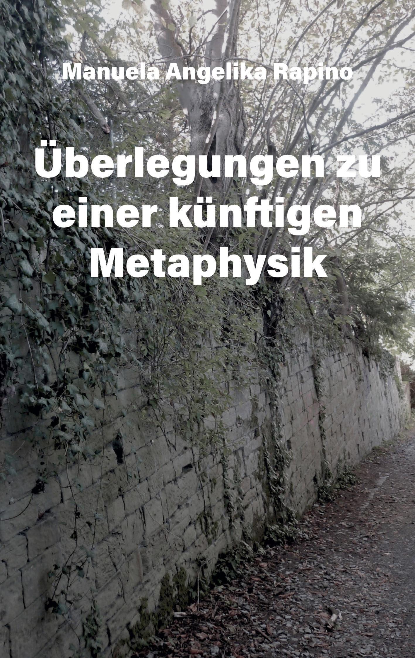 Überlegungen zu einer künftigen Metaphysik Philosophy
