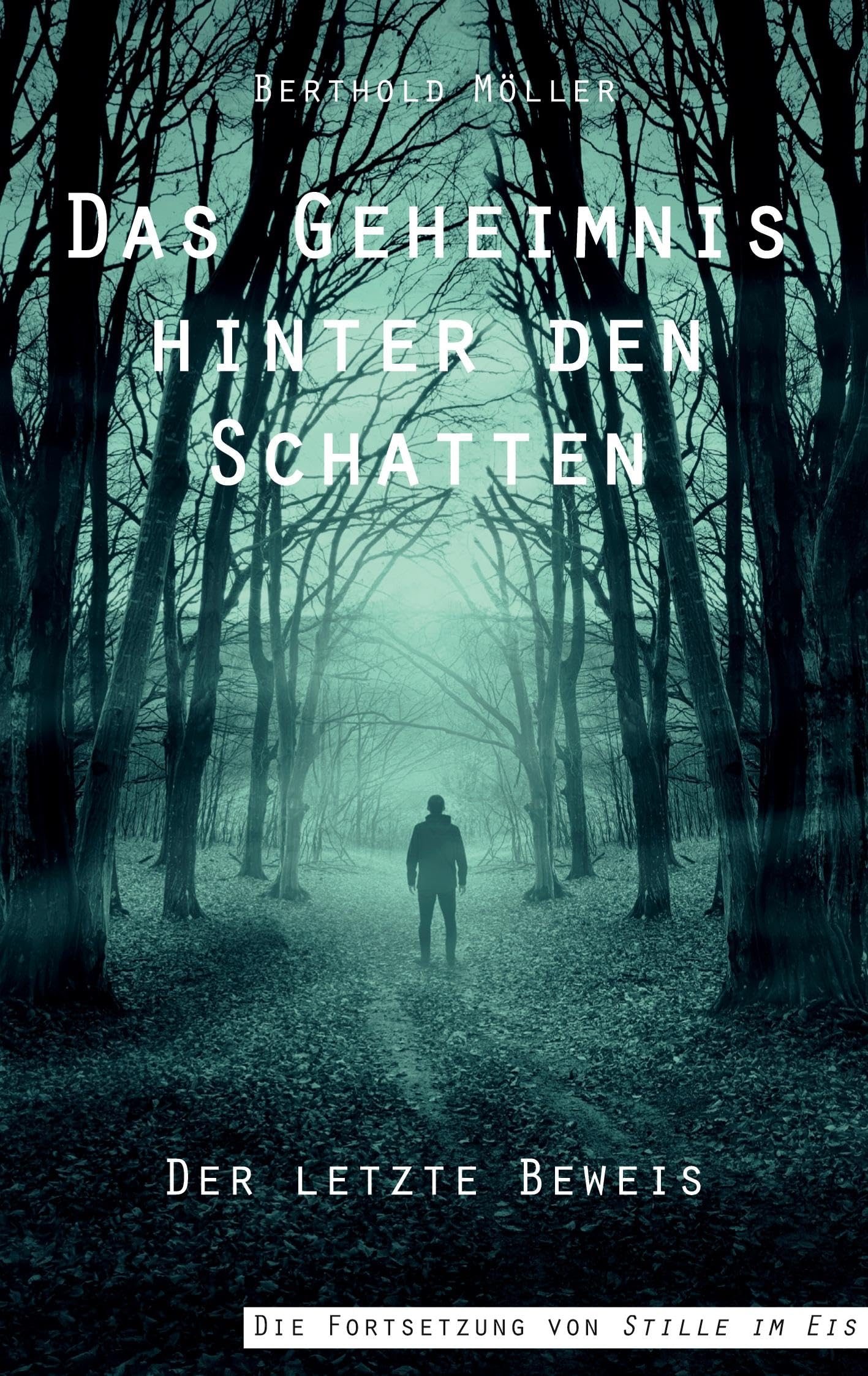 Das Geheimnis hinter den Schatten: Der letzte Beweis Contemporary literature