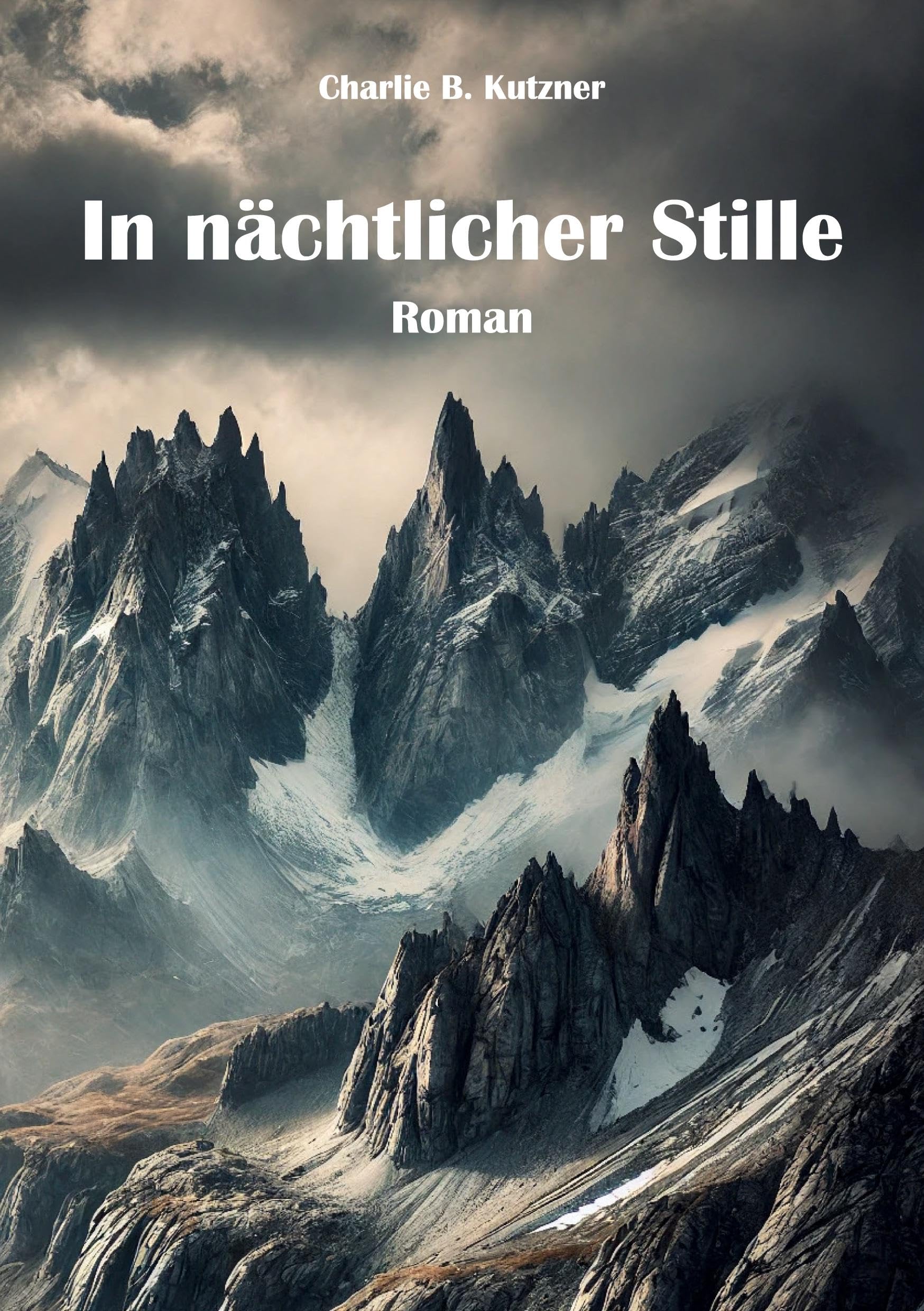 In nächtlicher Stille: Roman Contemporary literature